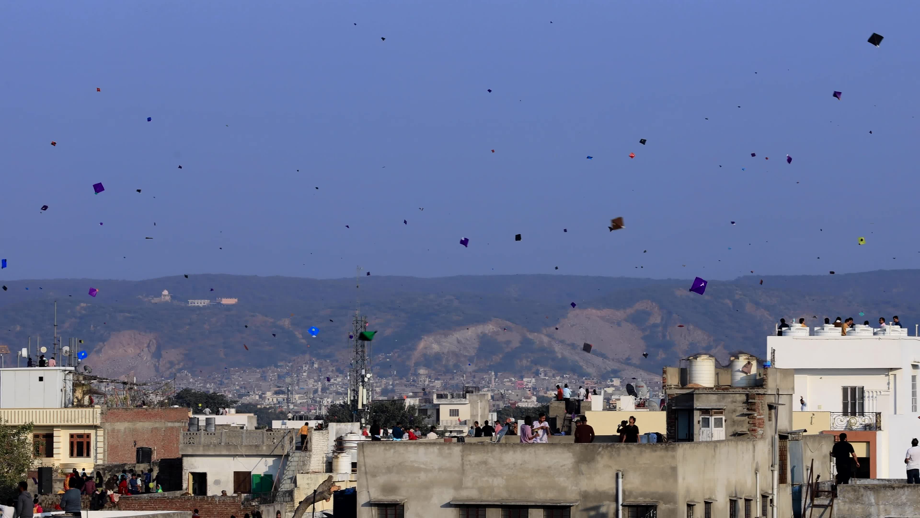 Makar Sankranti Festival Celebration In Jaipur 