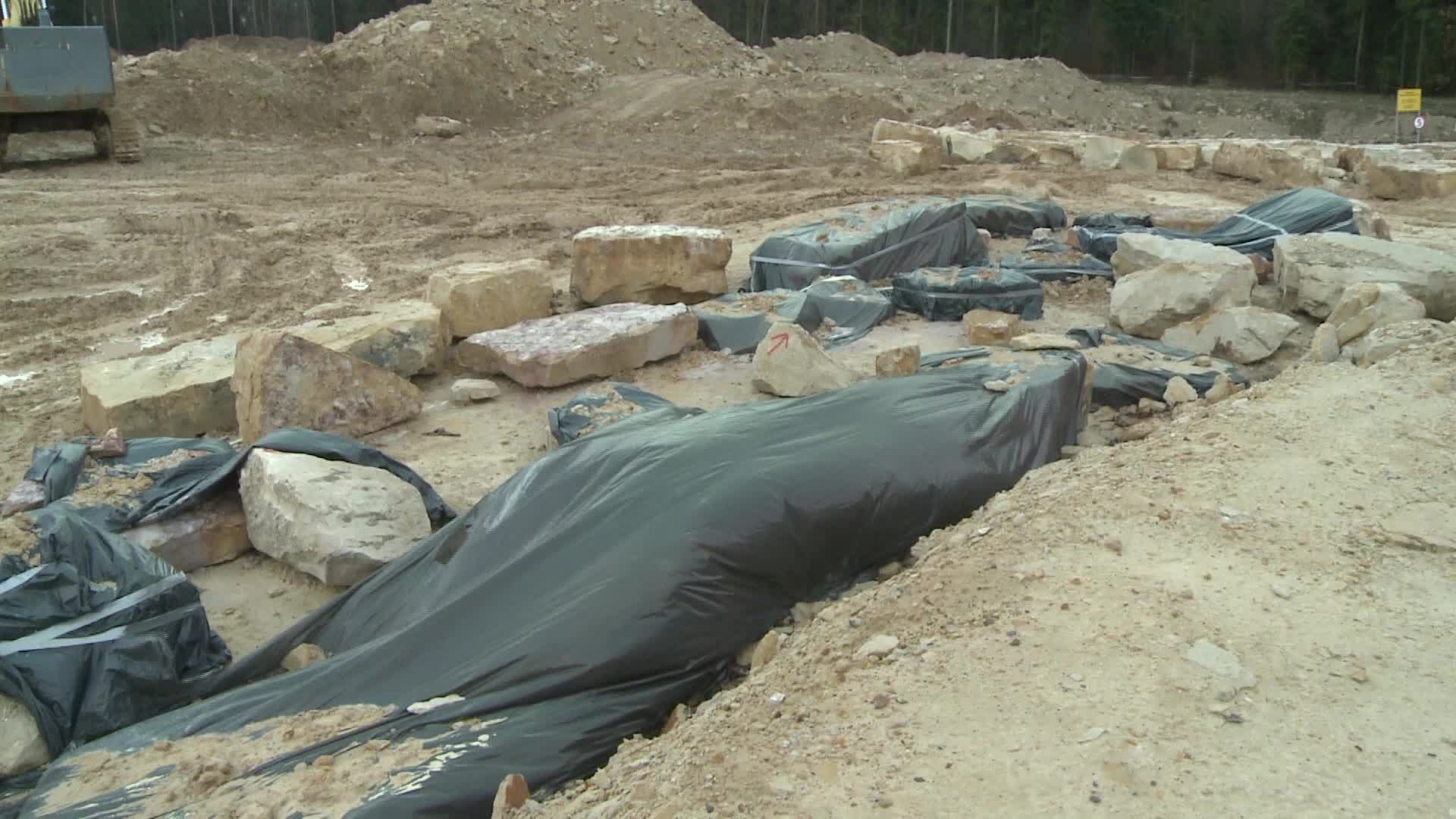Hundreds of dinosaur footprints discovered in Poland