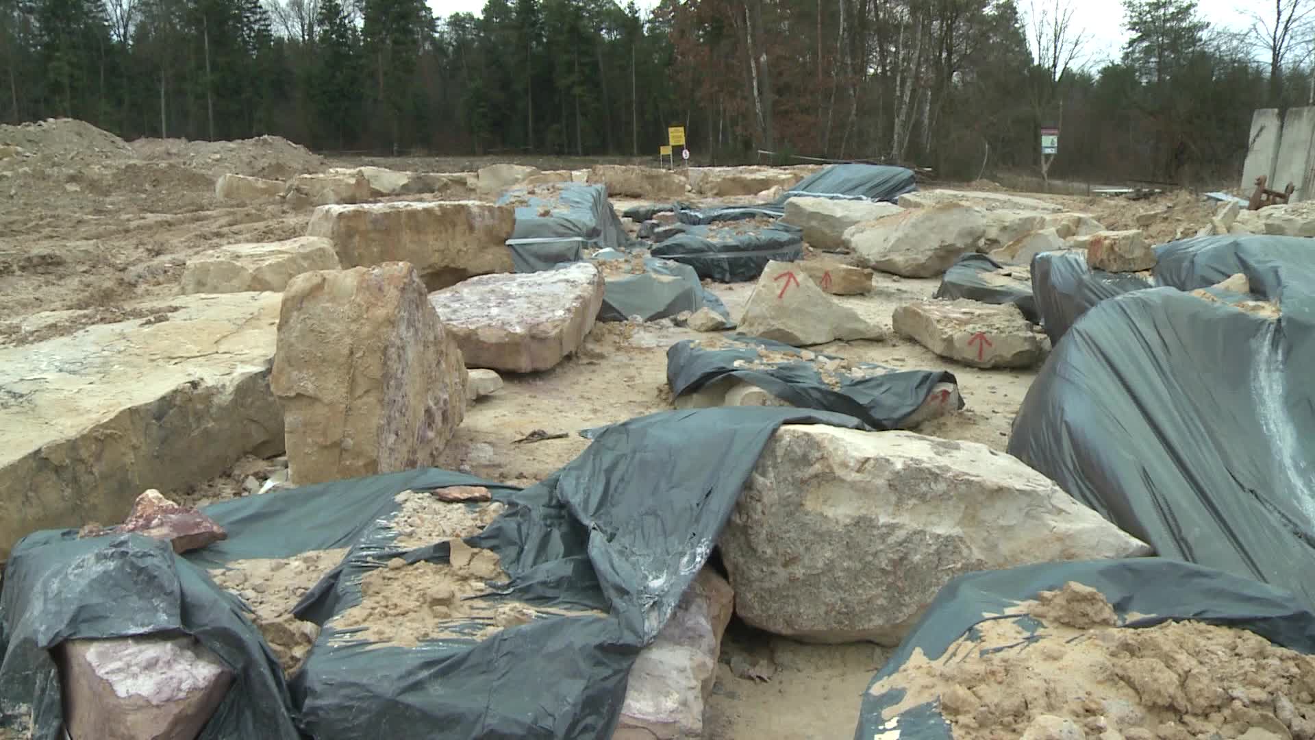 Hundreds of dinosaur footprints discovered in Poland
