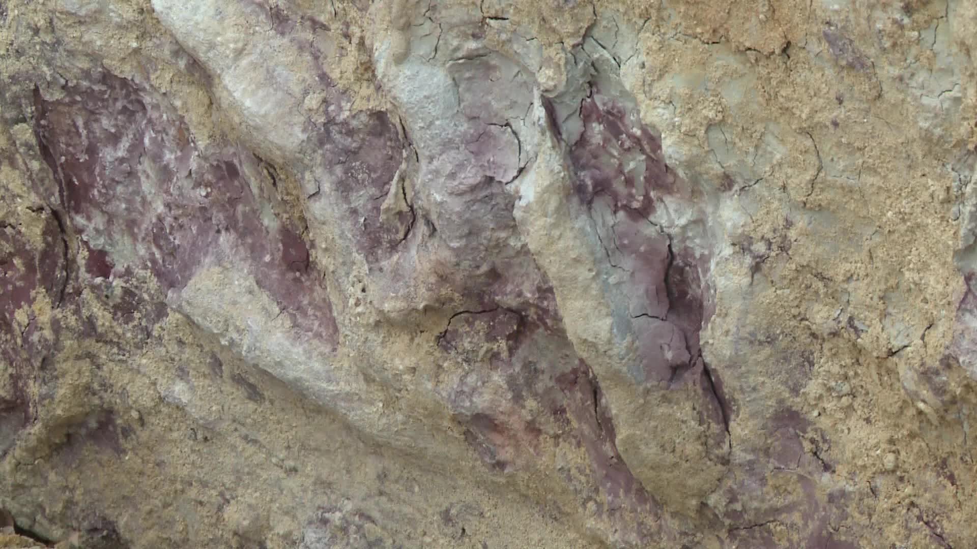 Hundreds of dinosaur footprints discovered in Poland