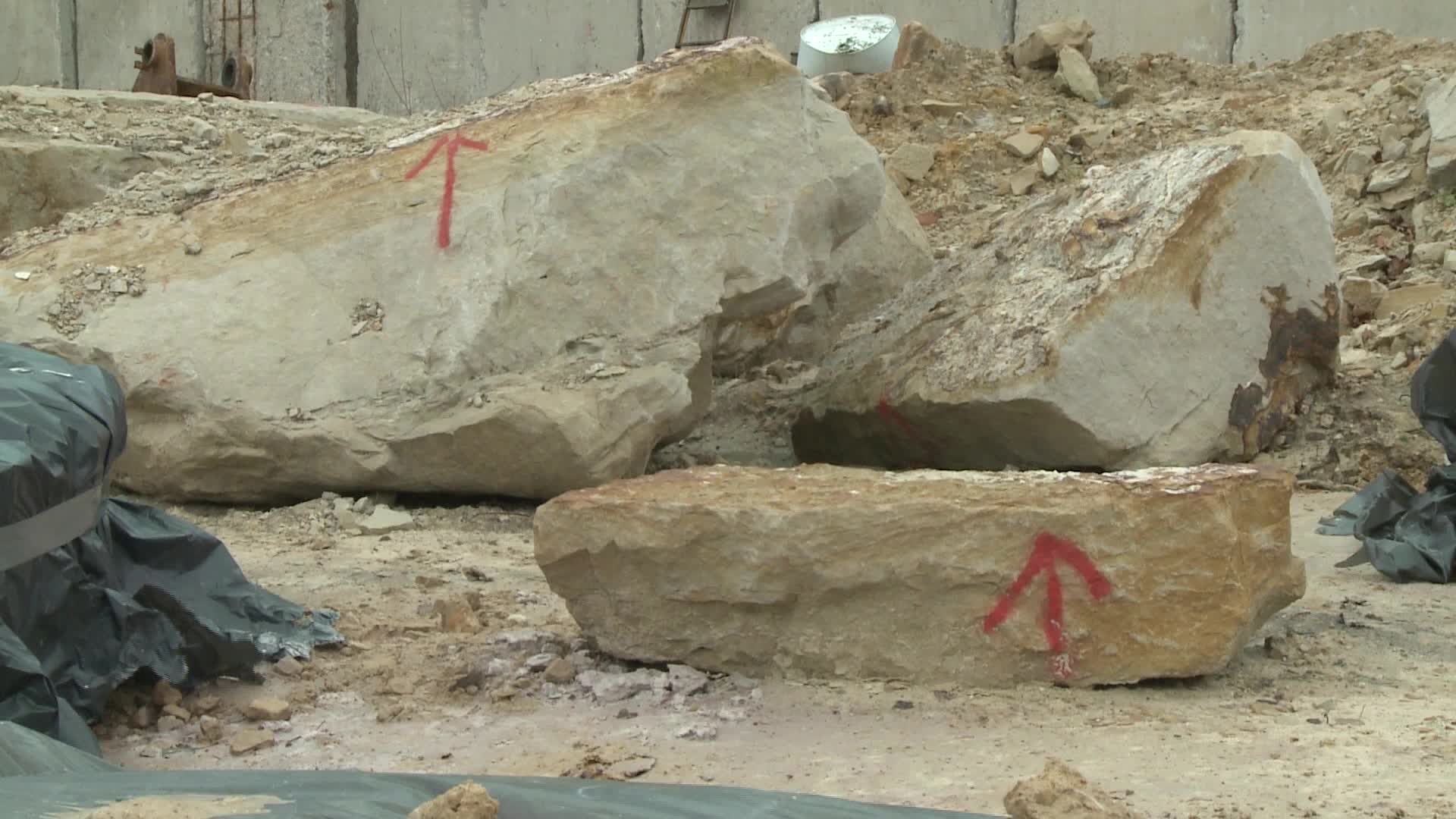 Hundreds of dinosaur footprints discovered in Poland