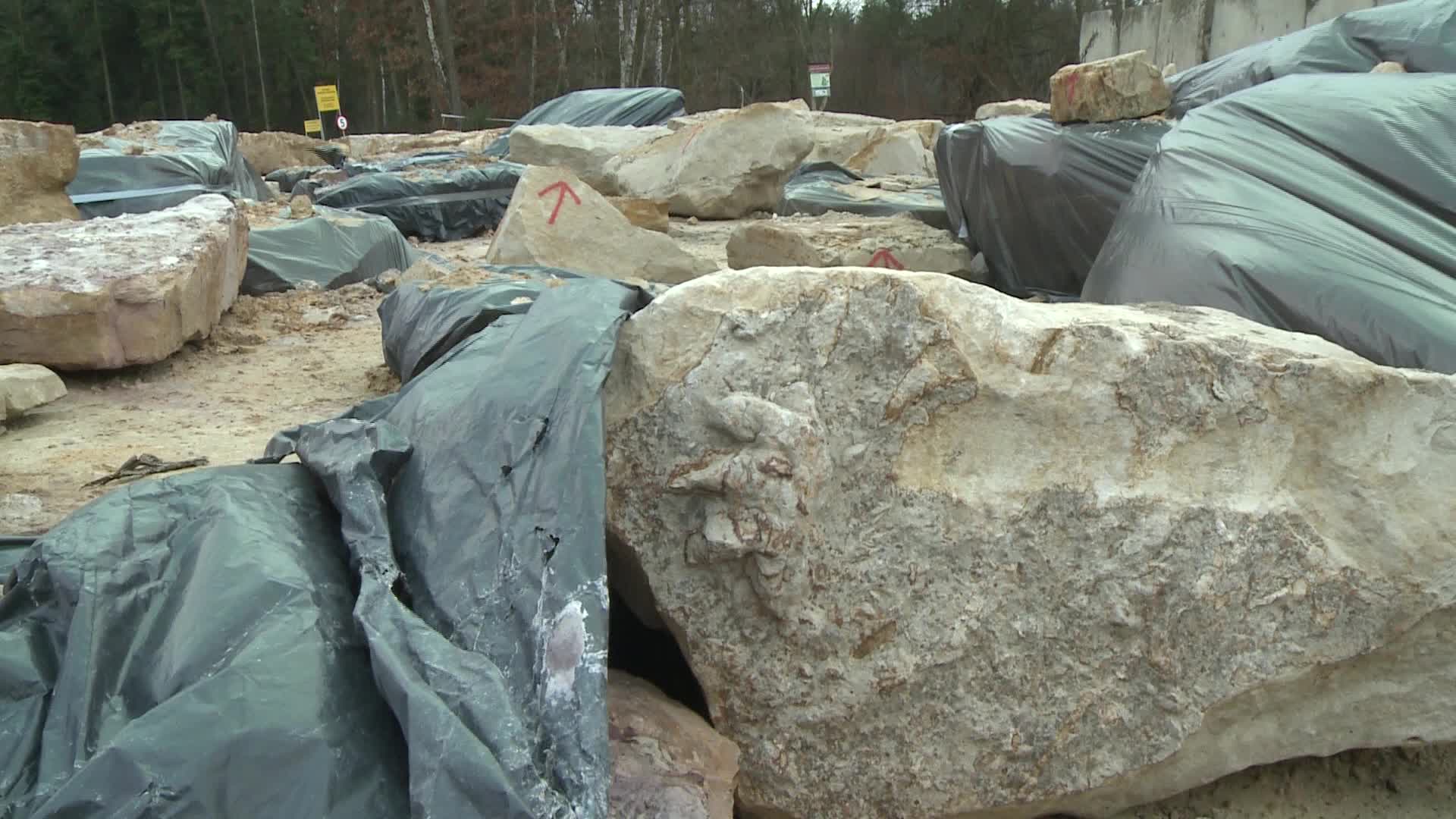Hundreds of dinosaur footprints discovered in Poland