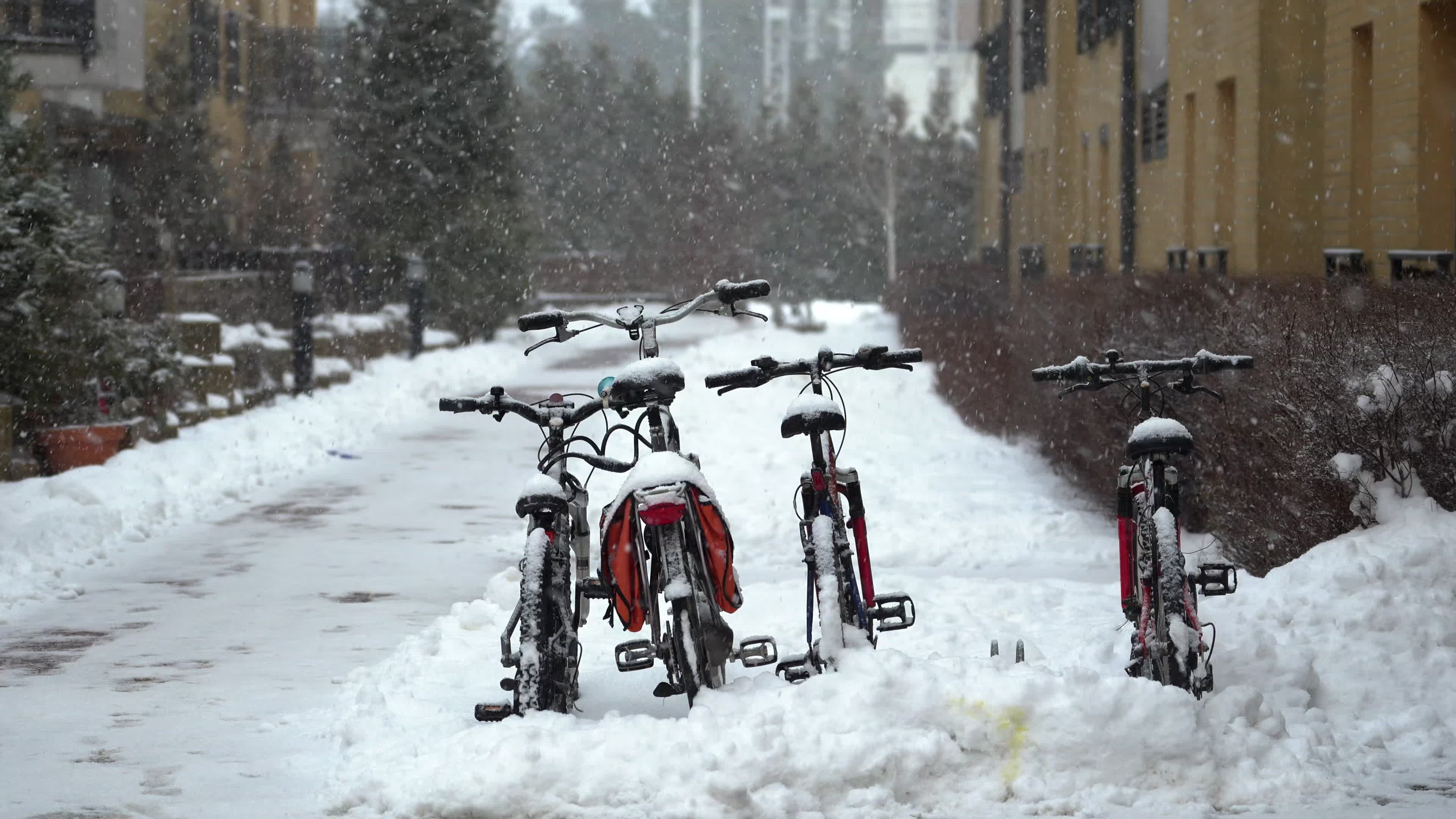 Weather alert in Poland for snow