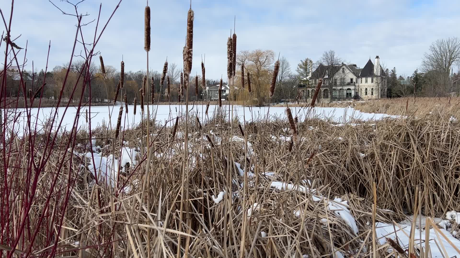 Daily life during winter in Toronto, Canada