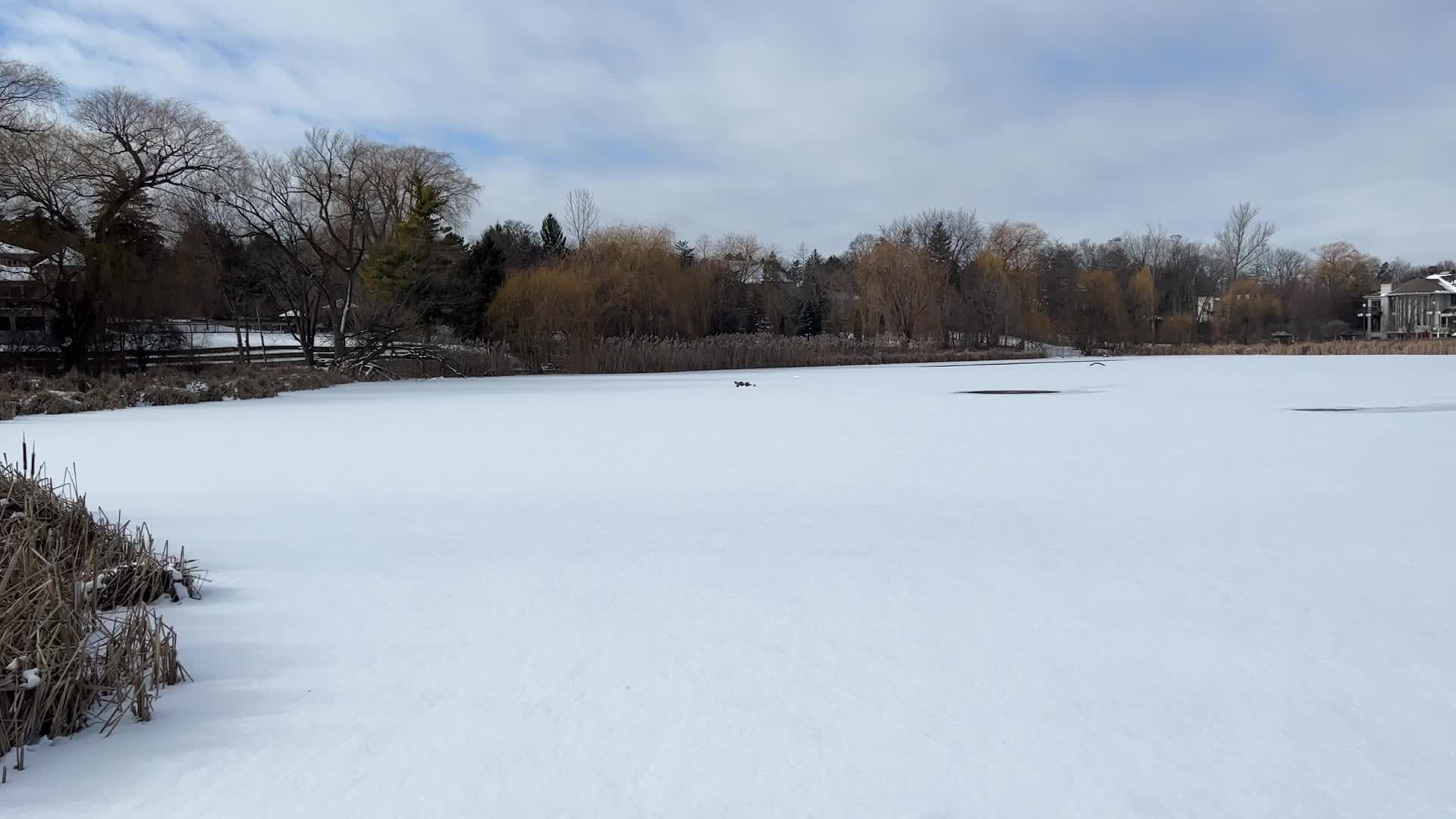 Daily life during winter in Toronto, Canada