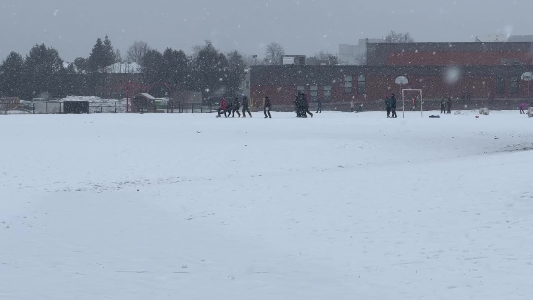 Snowstorm in Toronto, Canada