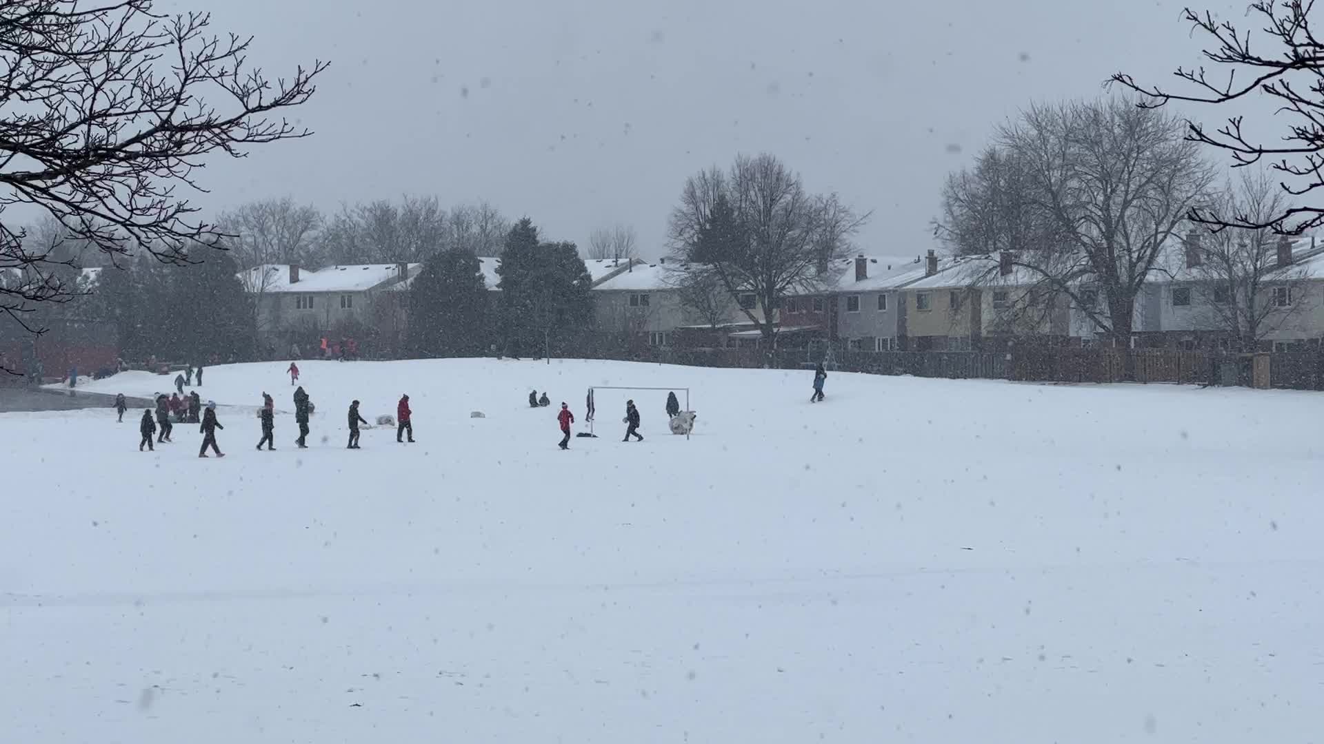 Snowstorm in Toronto, Canada