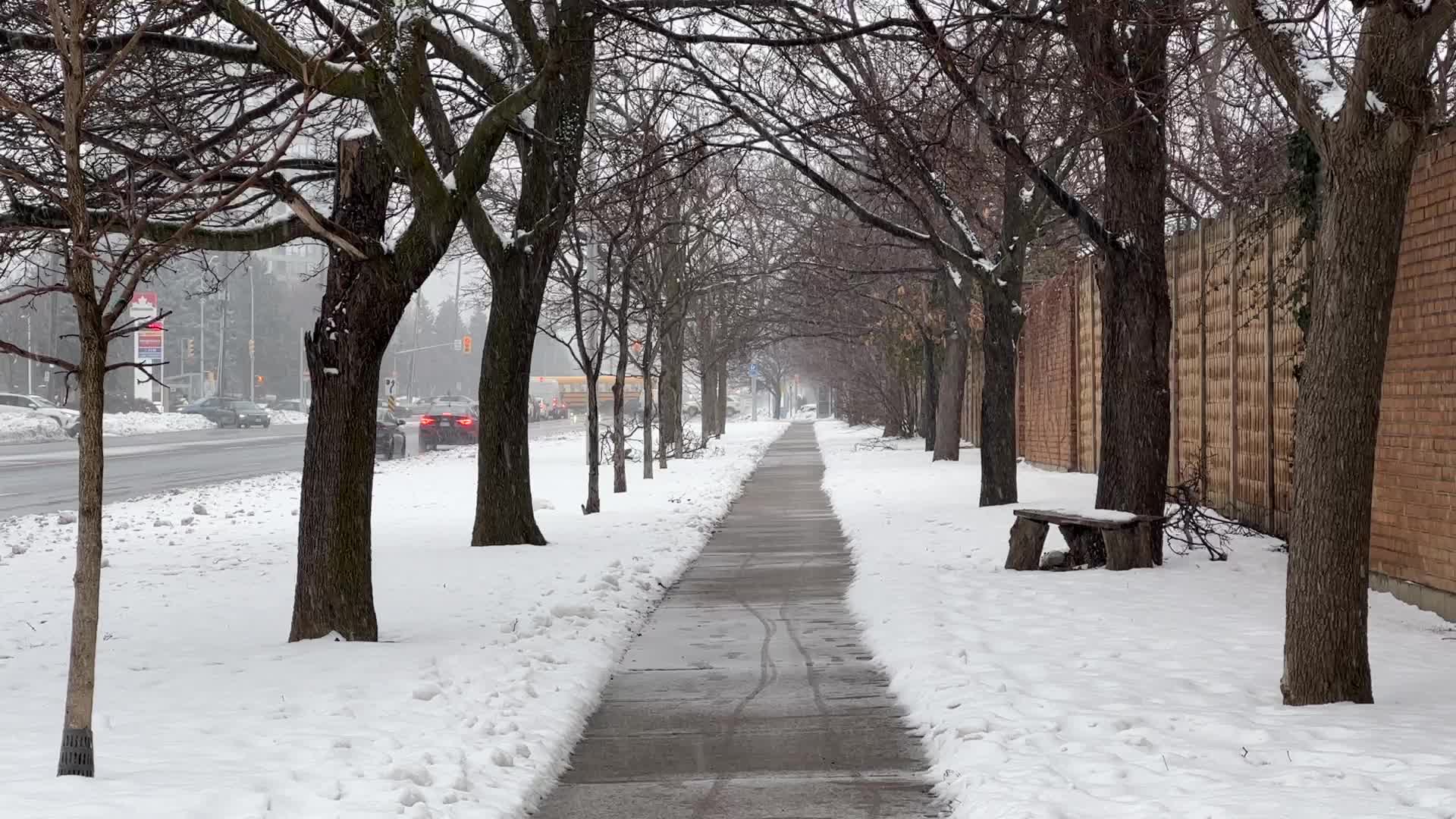 Snowstorm in Toronto, Canada