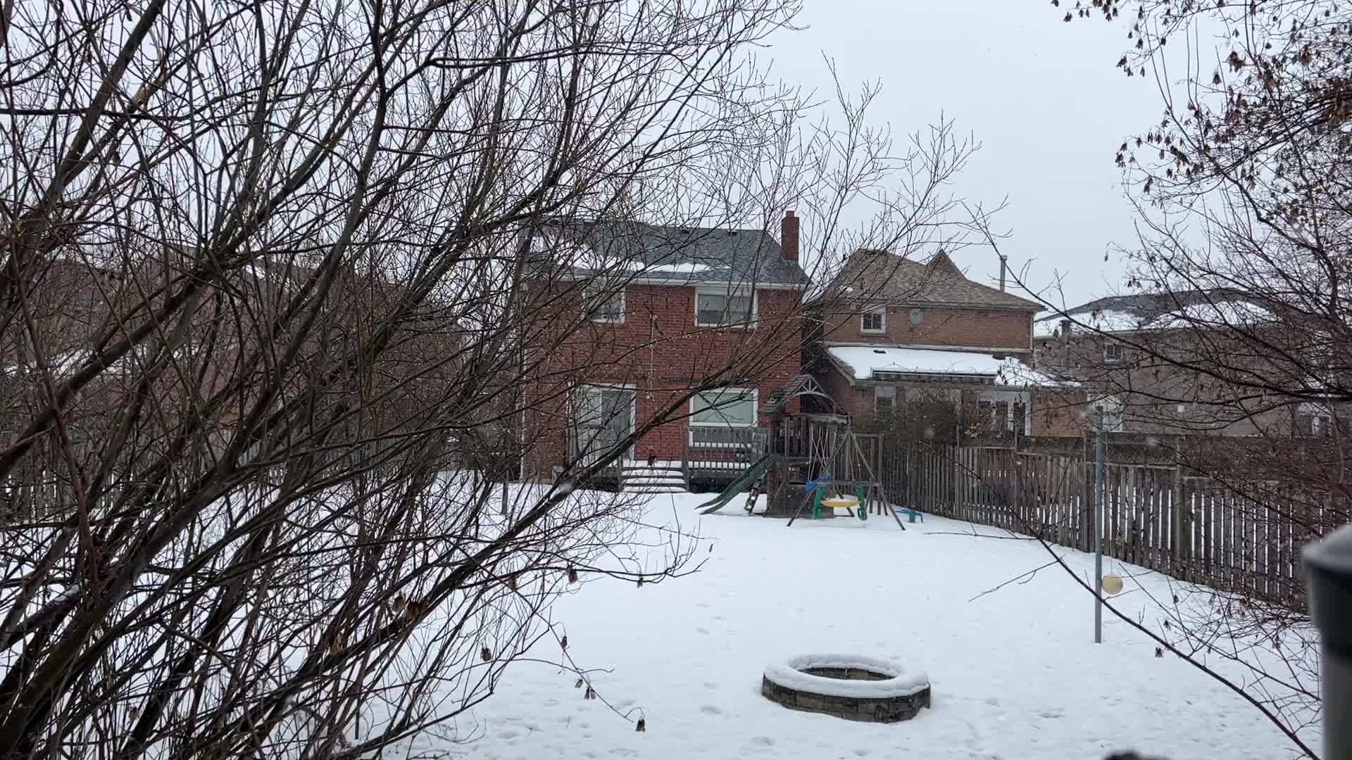 Snowstorm in Toronto, Canada