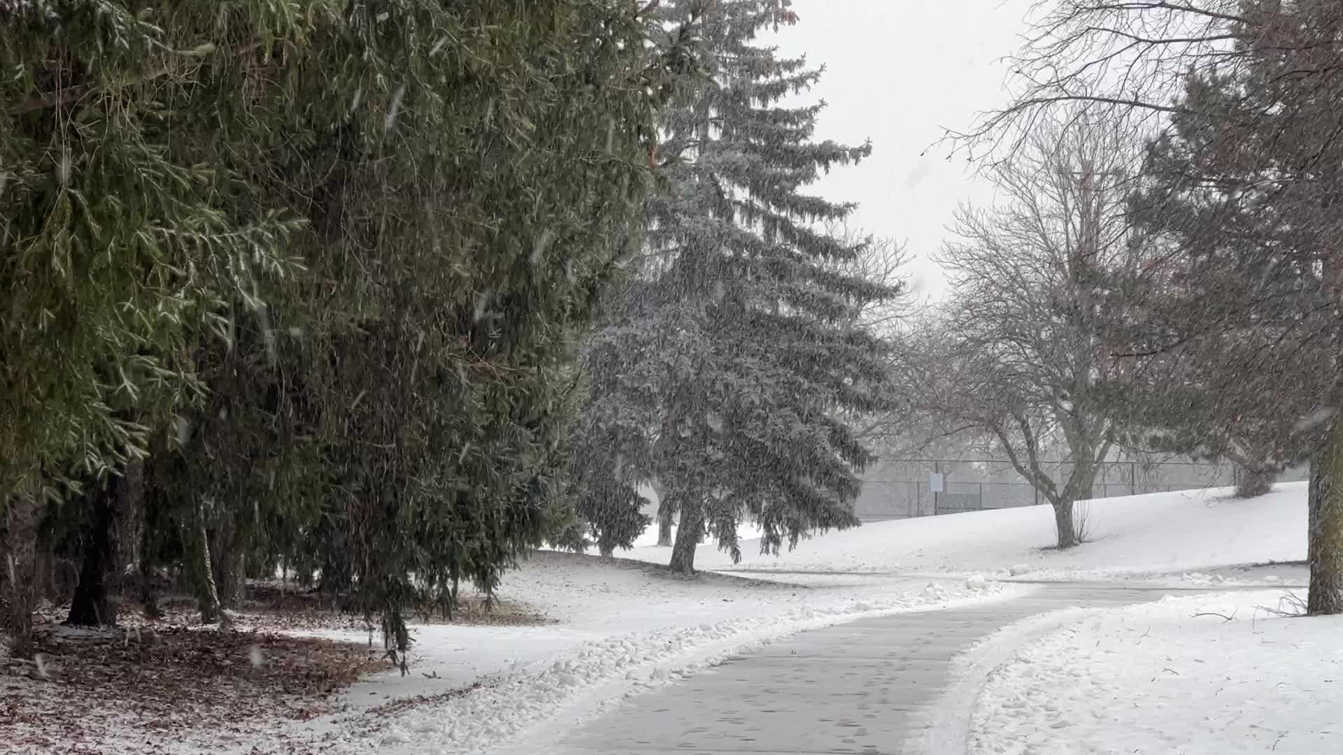 Snowstorm in Toronto, Canada