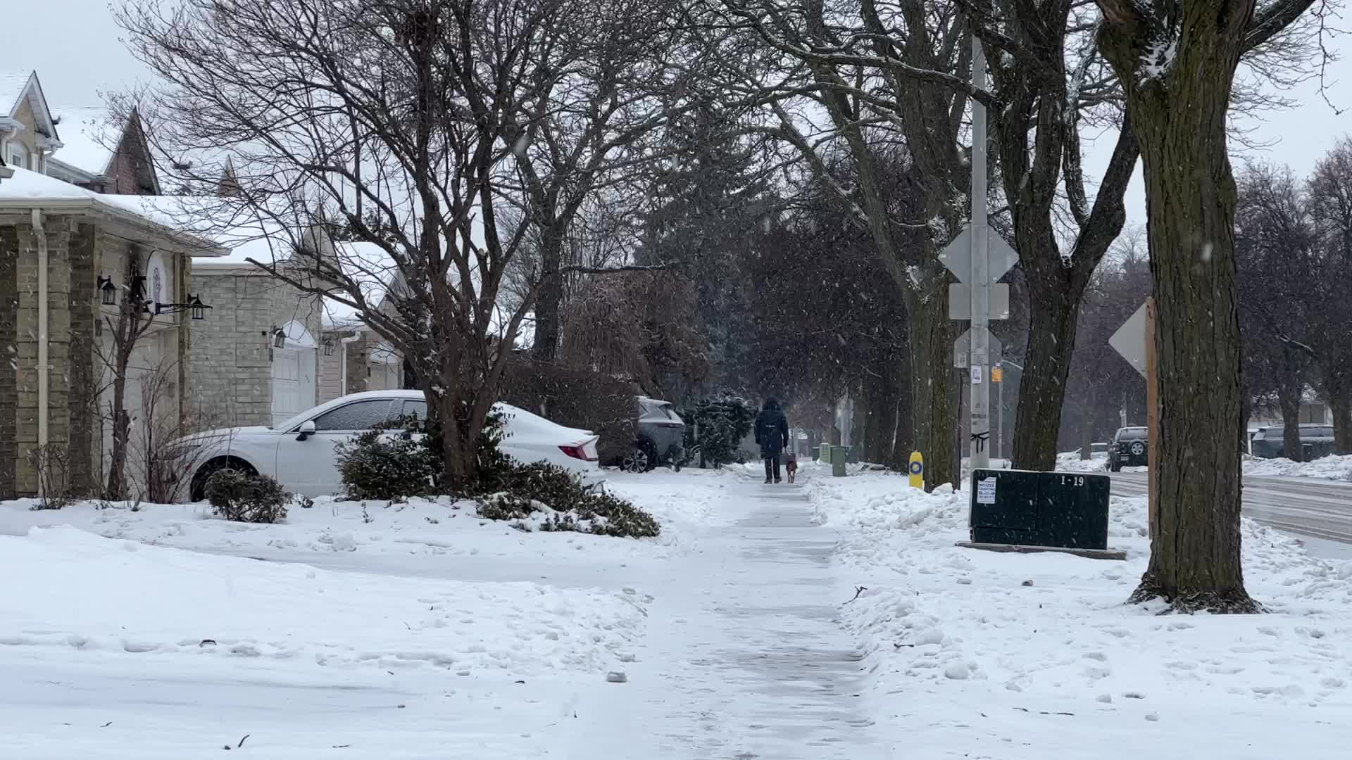 Snowstorm in Toronto, Canada