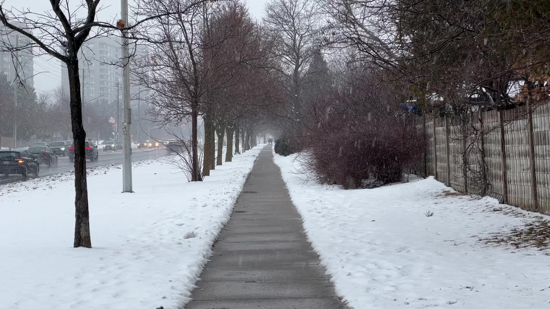 Snowstorm in Toronto, Canada