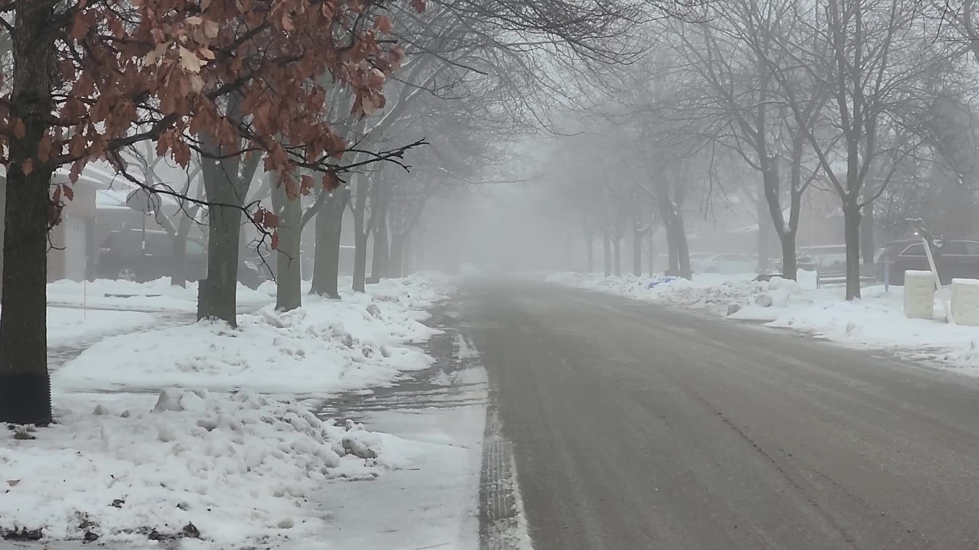Cold and wet foggy day in Toronto, Canada