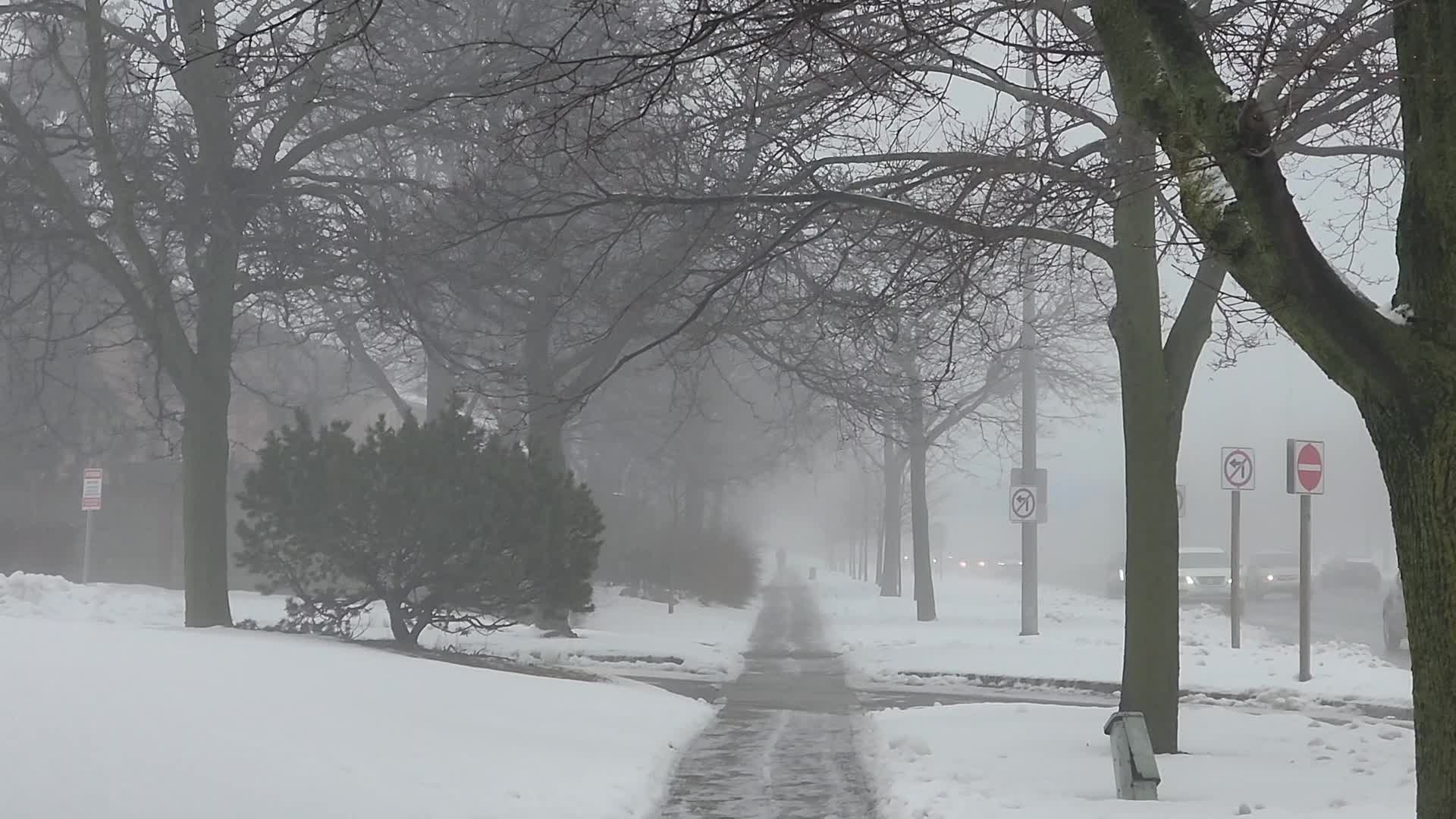 Cold and wet foggy day in Toronto, Canada