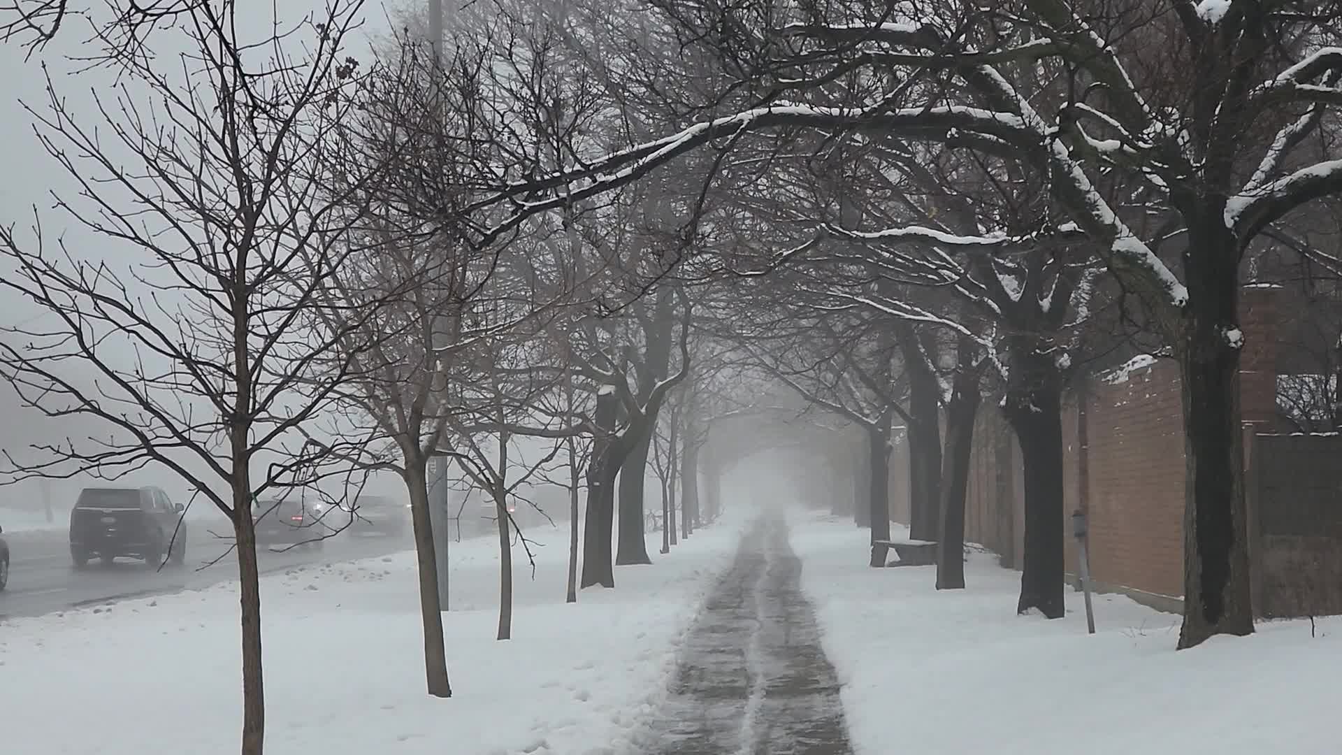 Cold and wet foggy day in Toronto, Canada