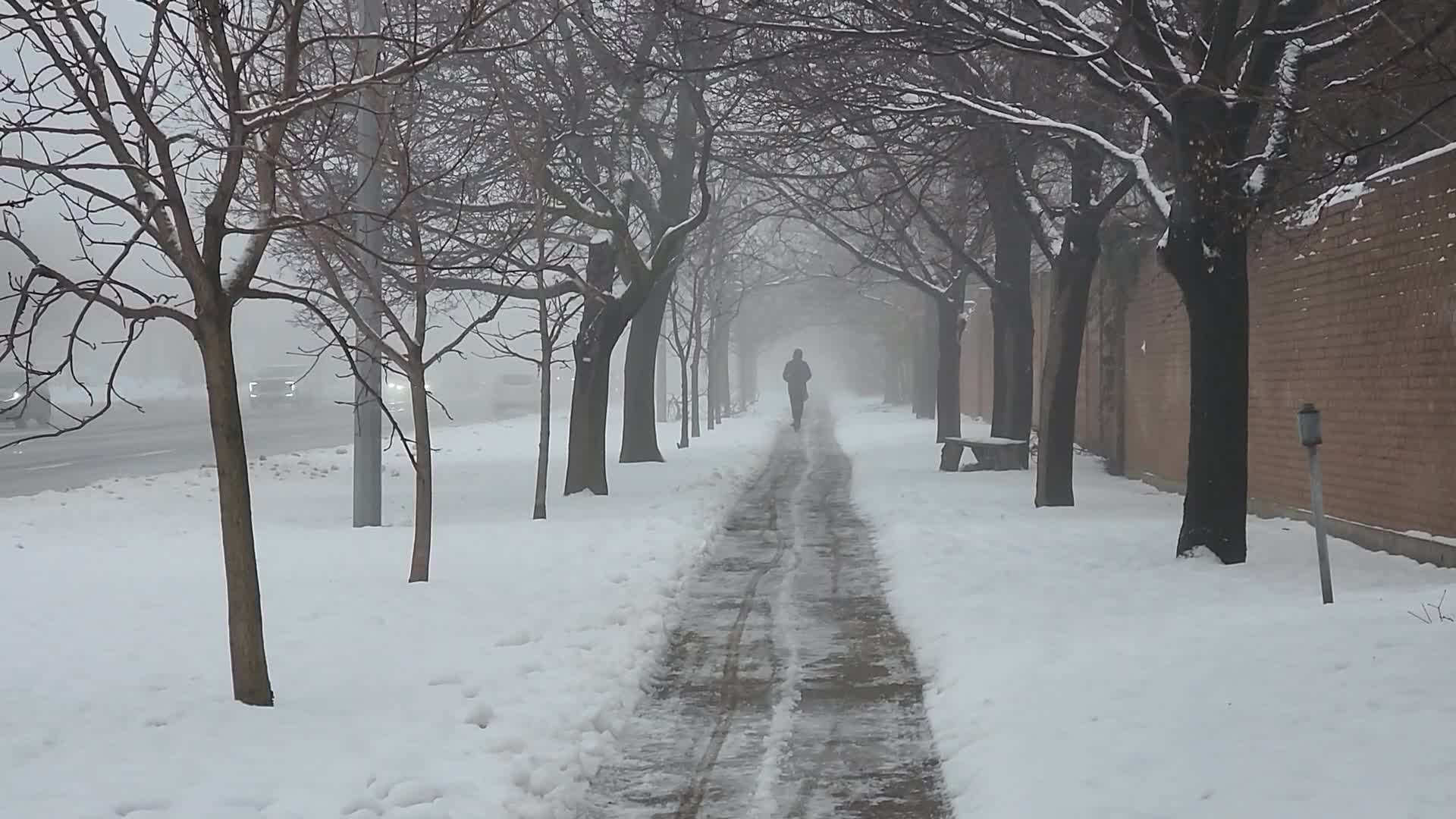 Cold and wet foggy day in Toronto, Canada