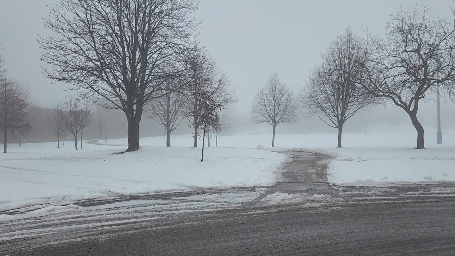 Cold and wet foggy day in Toronto, Canada