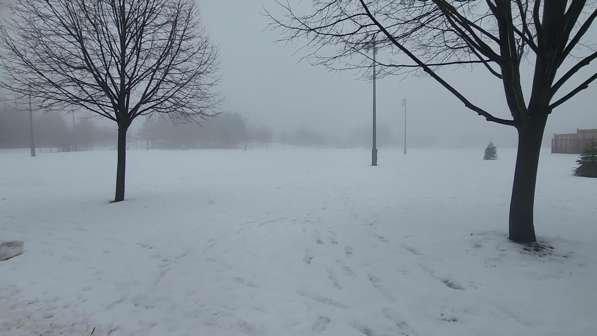 Cold and wet foggy day in Toronto, Canada