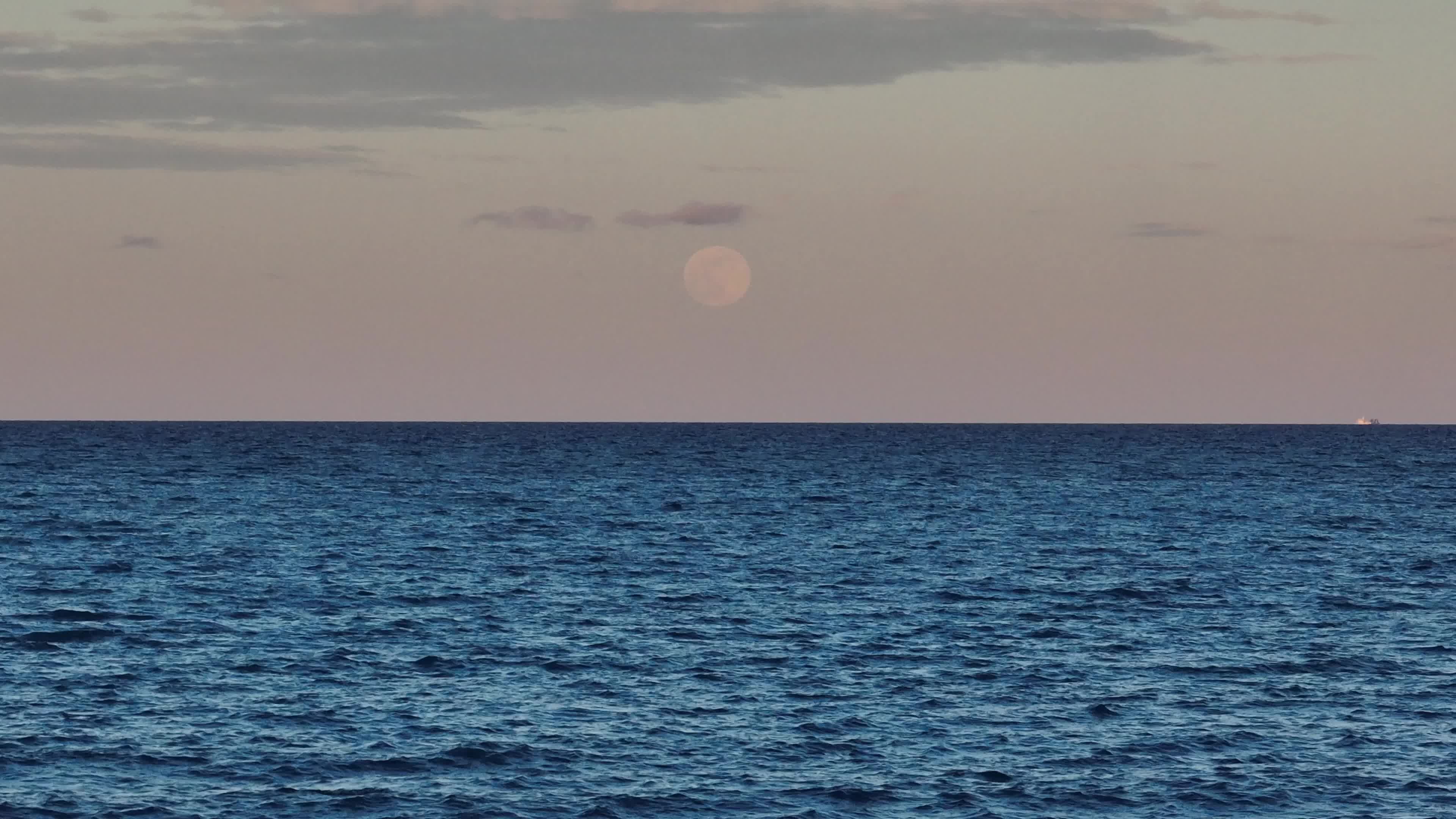 Wolf Moon In San Cataldo, Italy