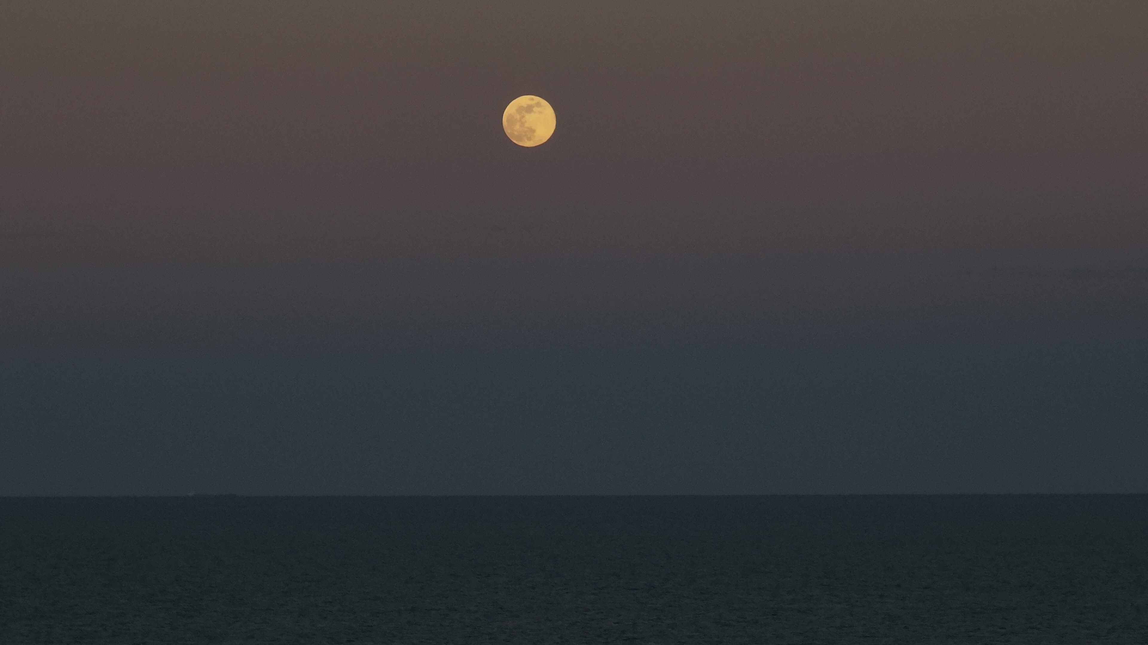 Wolf Moon In San Cataldo, Italy