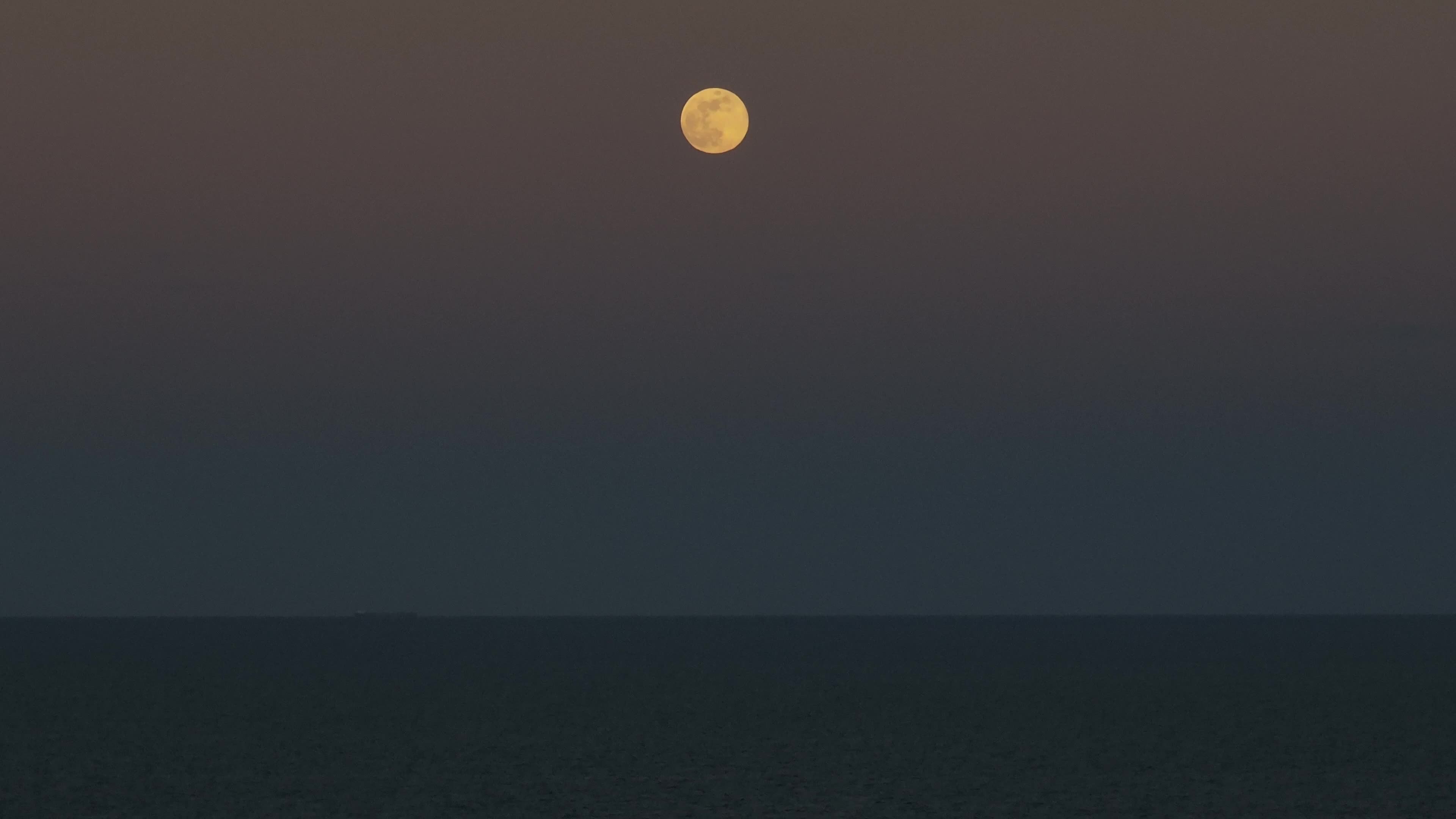 Wolf Moon In San Cataldo, Italy