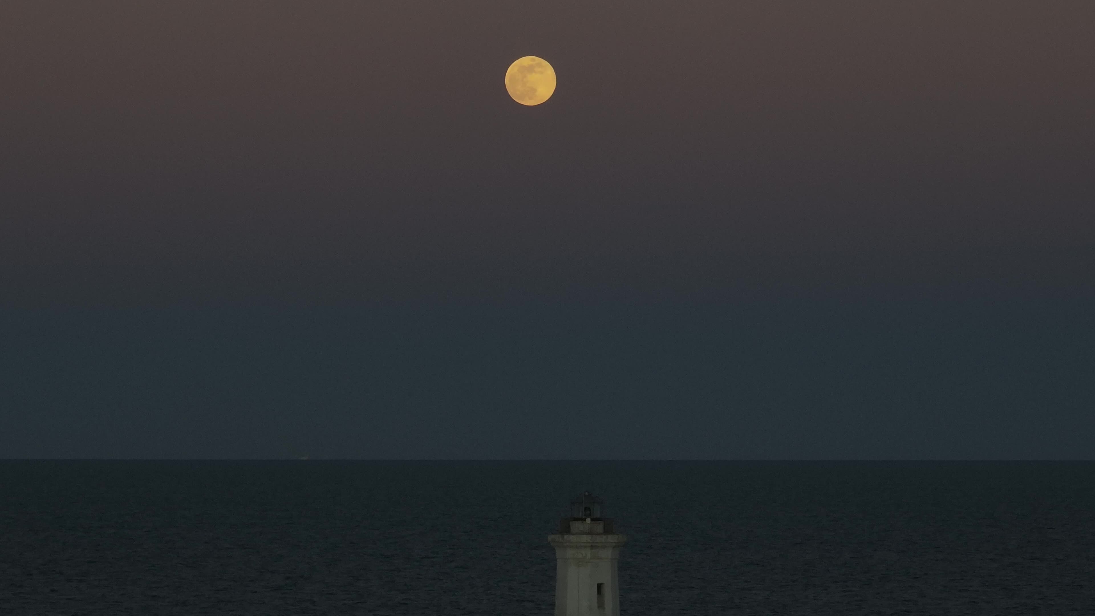 Wolf Moon In San Cataldo, Italy
