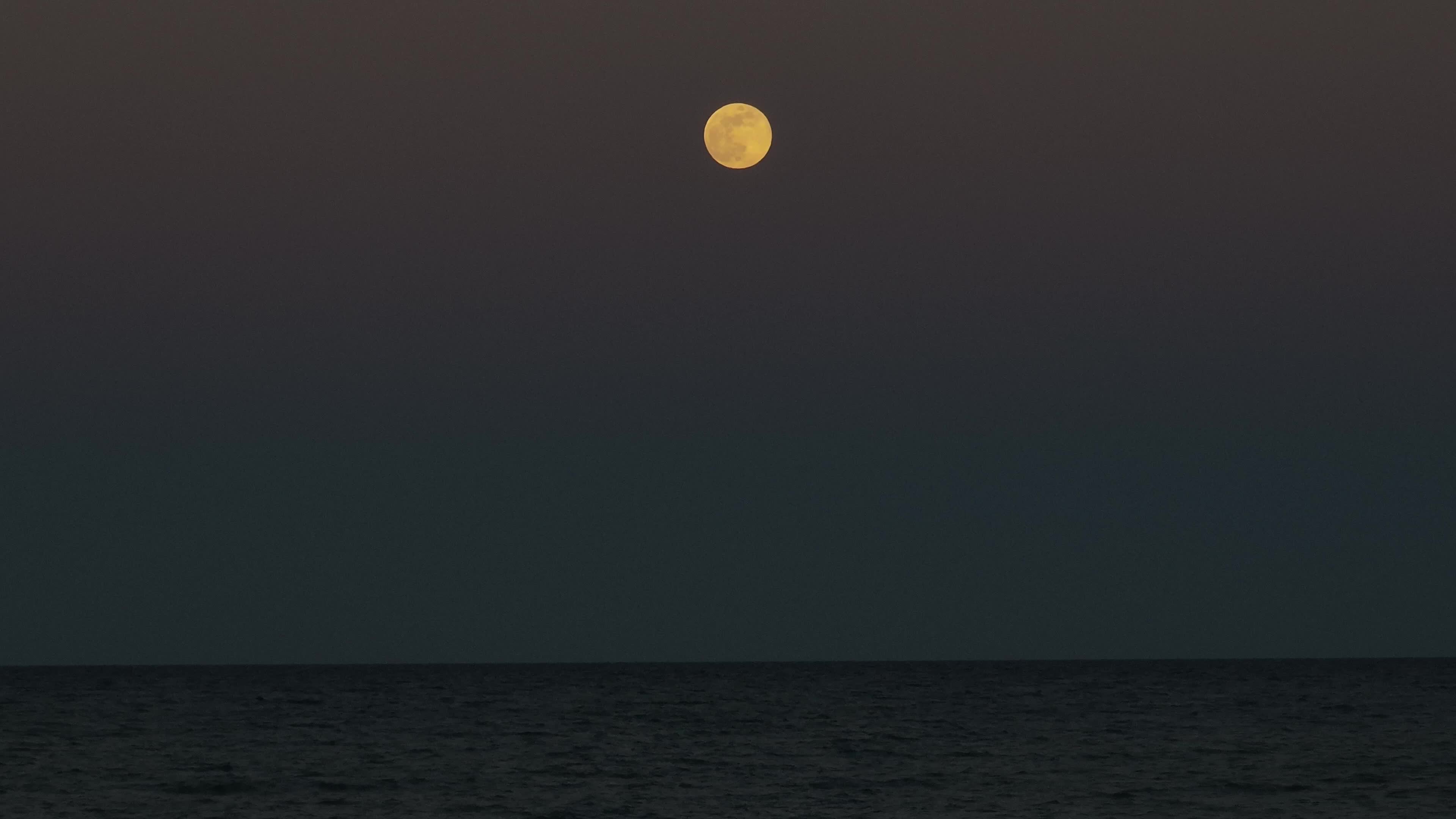 Wolf Moon In San Cataldo, Italy