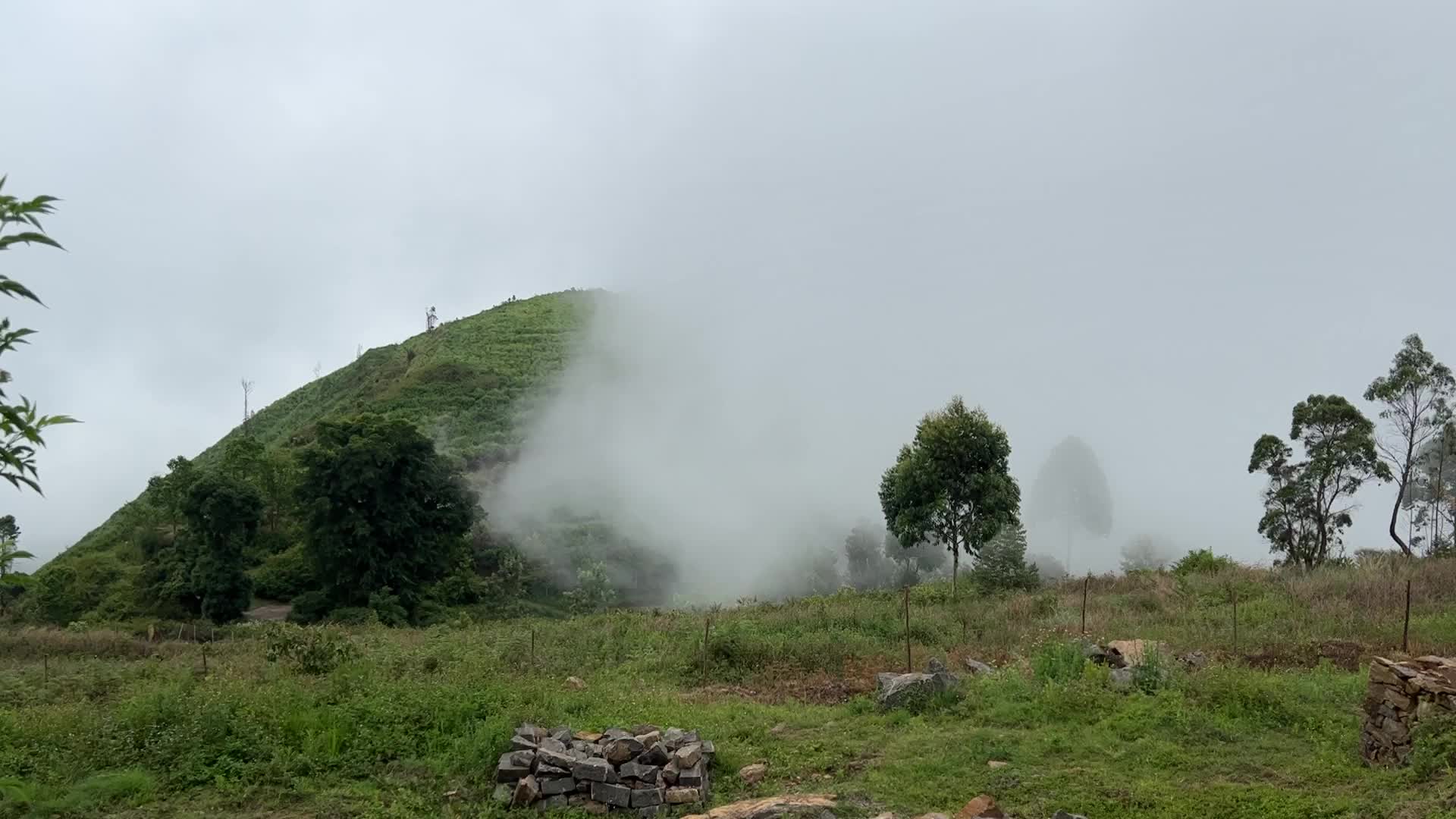 Glamping in Tamil Nadu, India