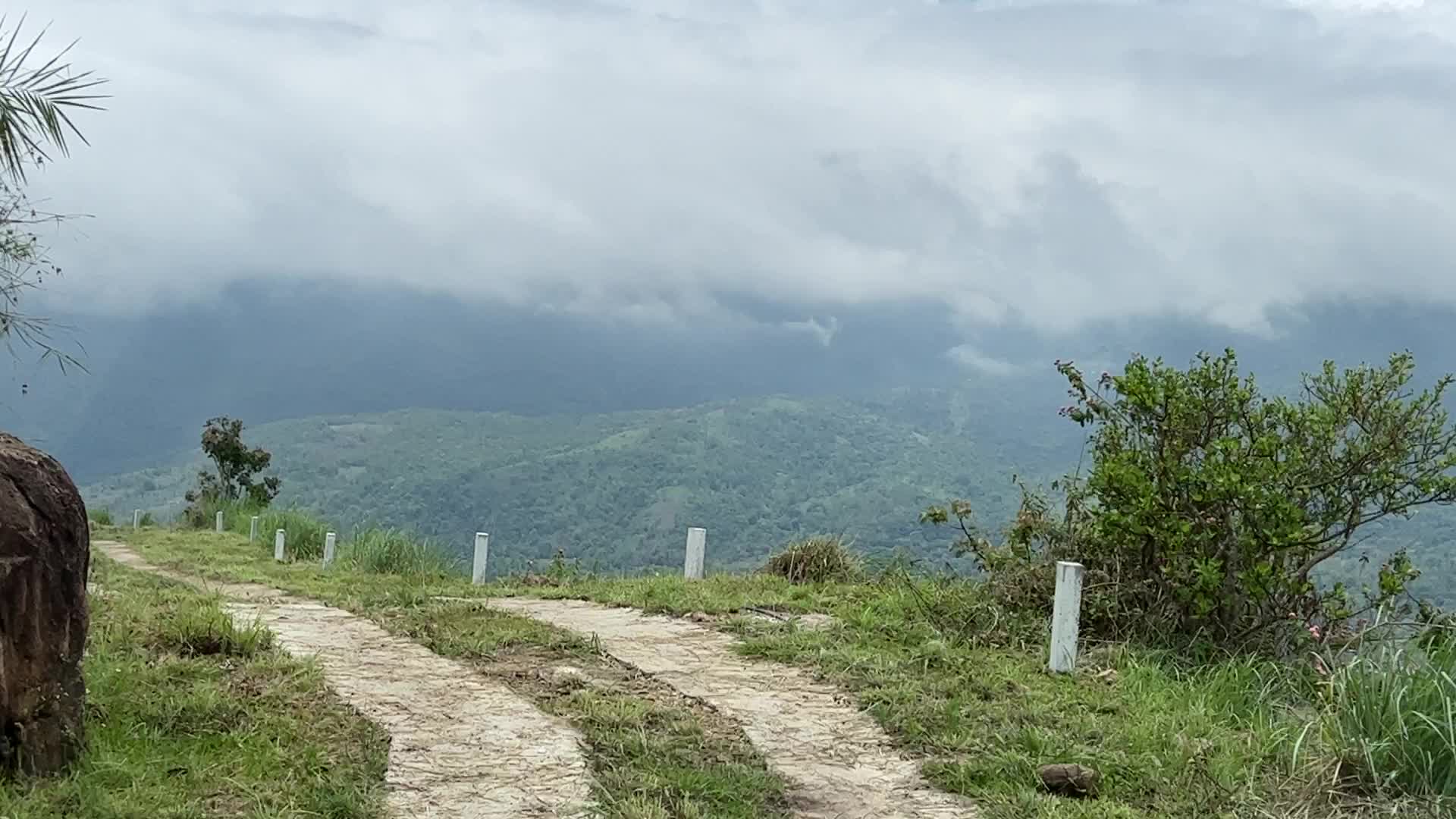 Mountain road cutting through the jungle in Dindigul,