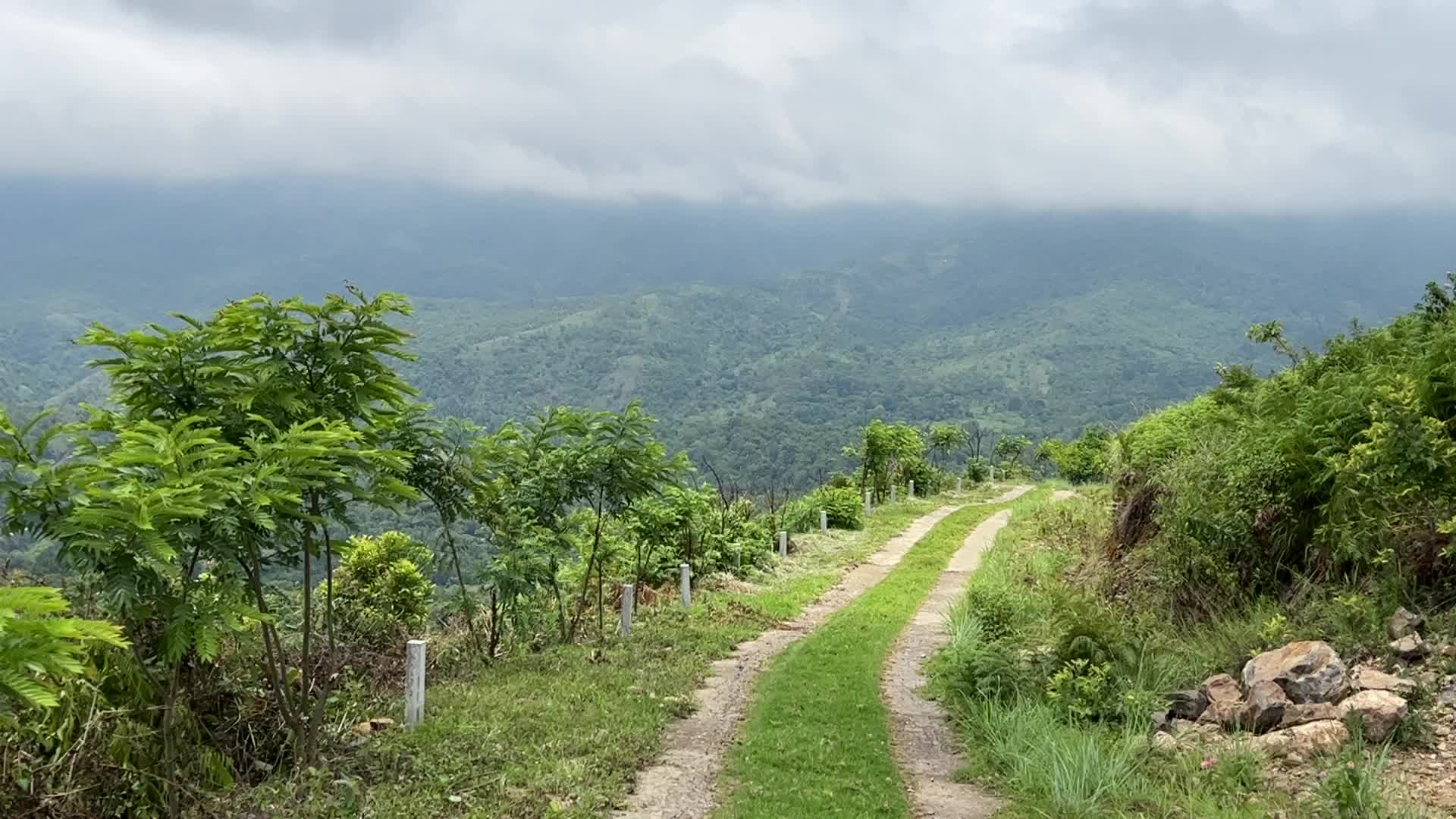 Mountain road cutting through the jungle in Dindigul,