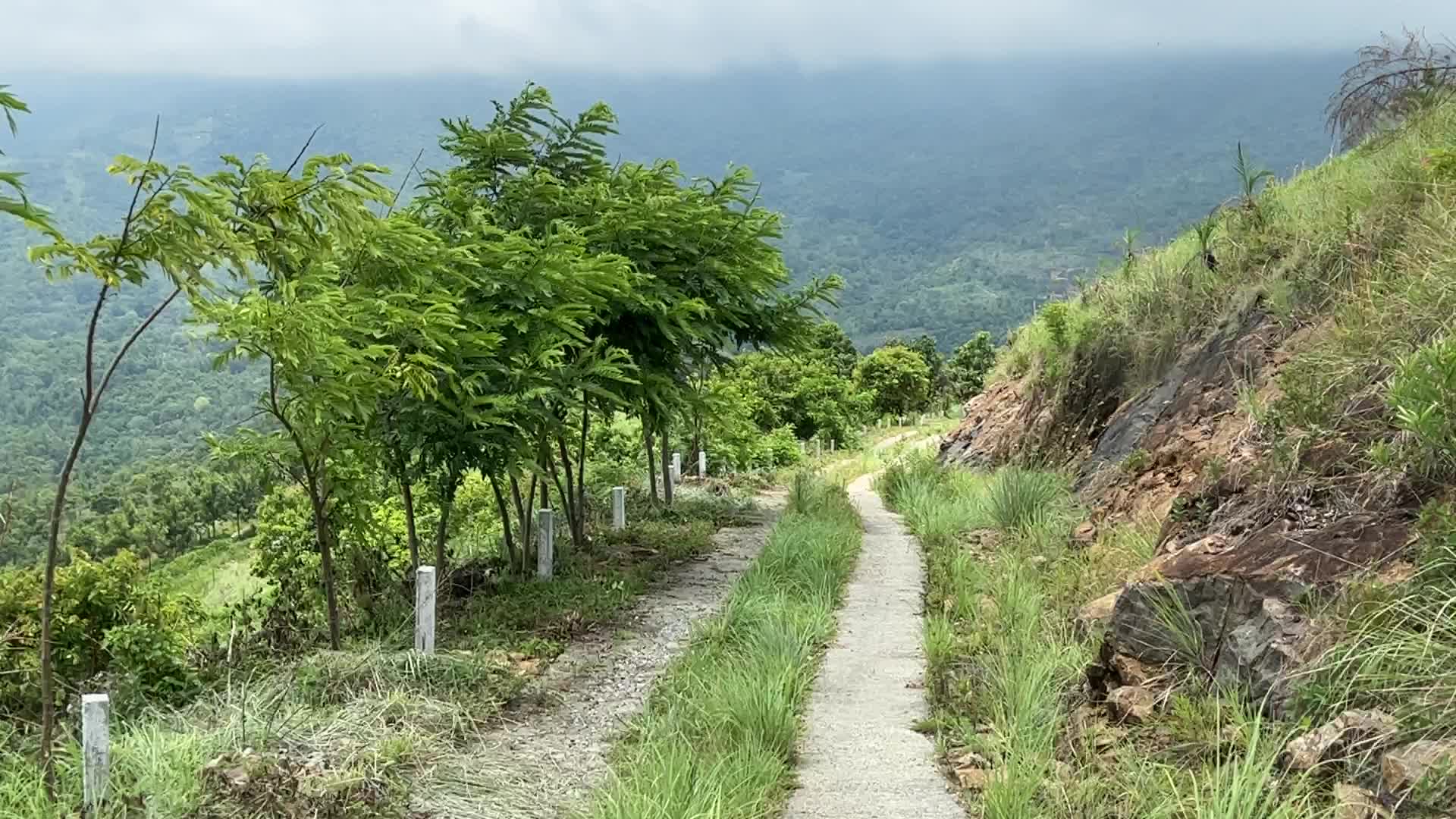 Mountain road cutting through the jungle in Dindigul,