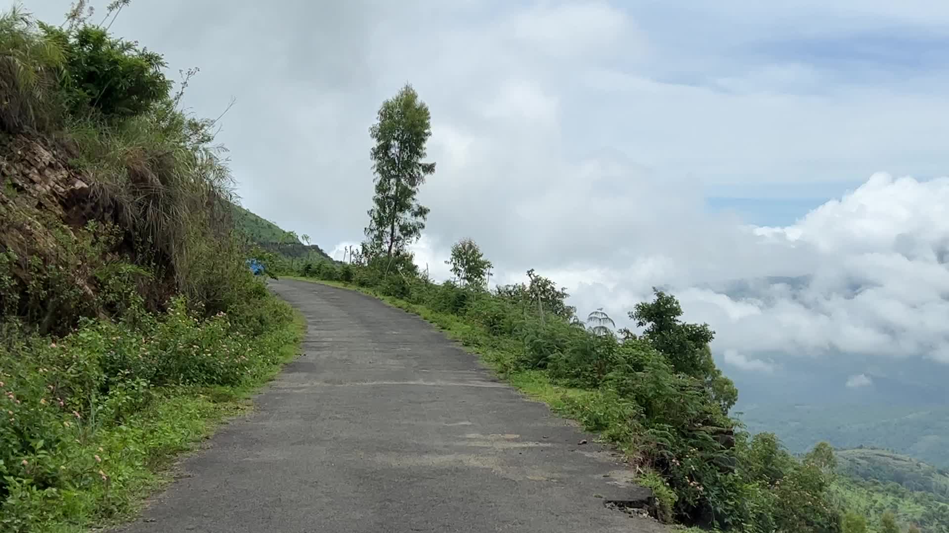 Mountain road cutting through the jungle in Dindigul