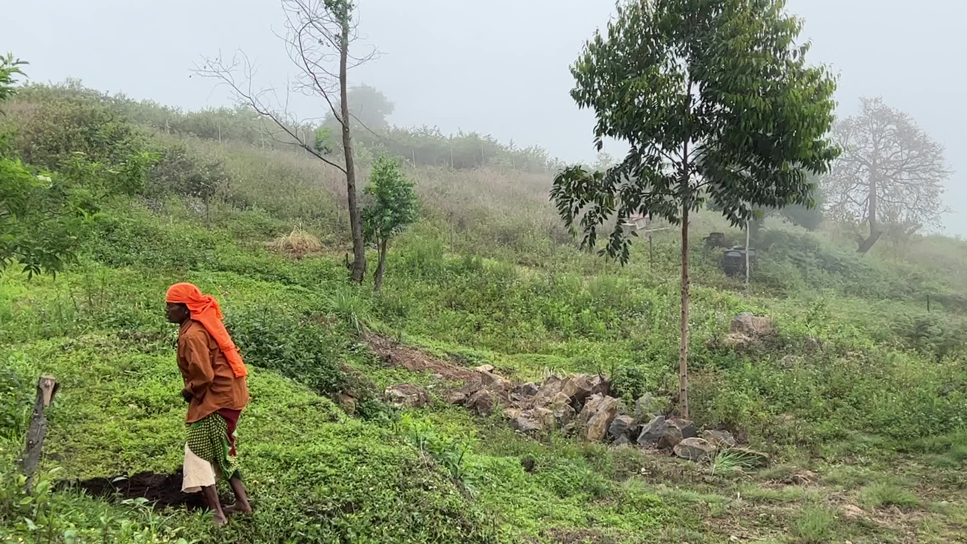 Daily life in Dindigul