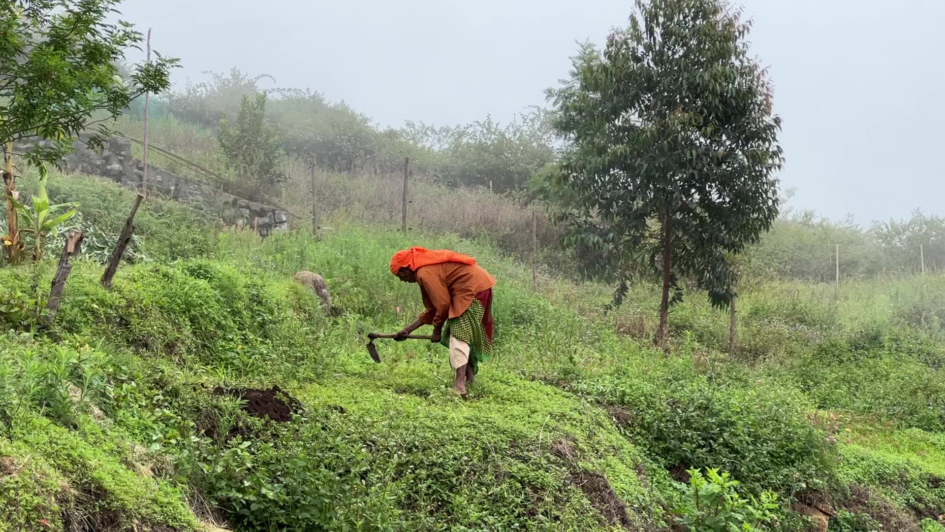 Daily life in Dindigul