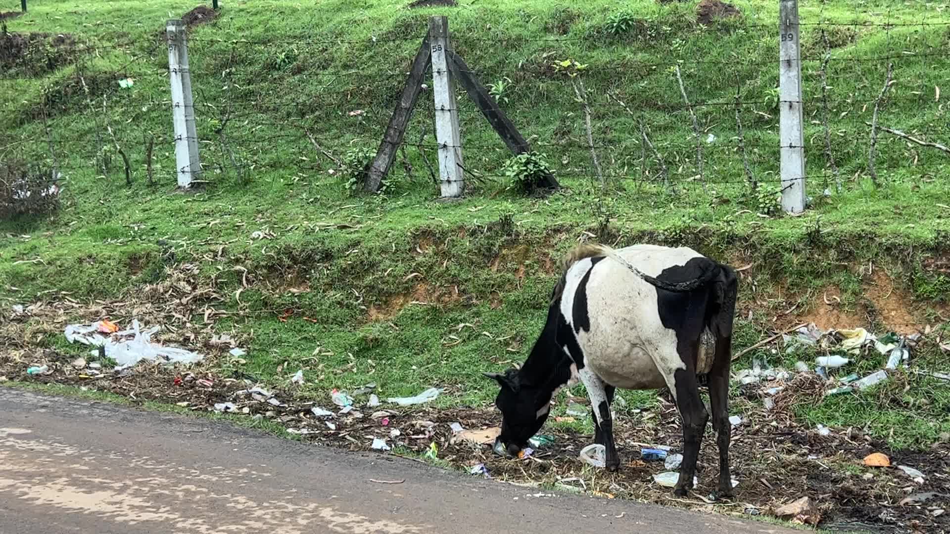 Daily life in Kodaikanal