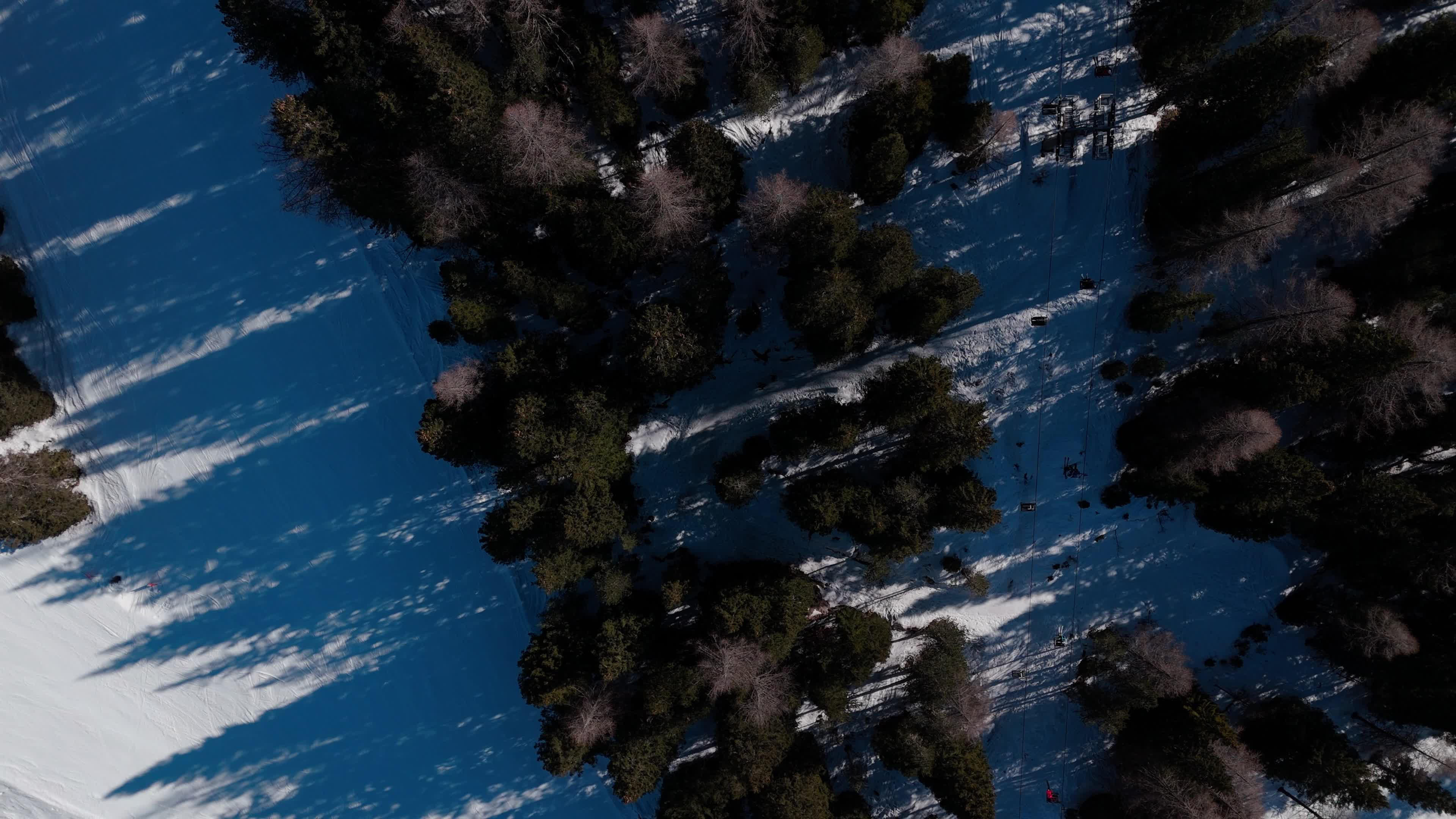 Climate Change Impact: European Ski Slopes Increasingly Depend on Artificial Snow