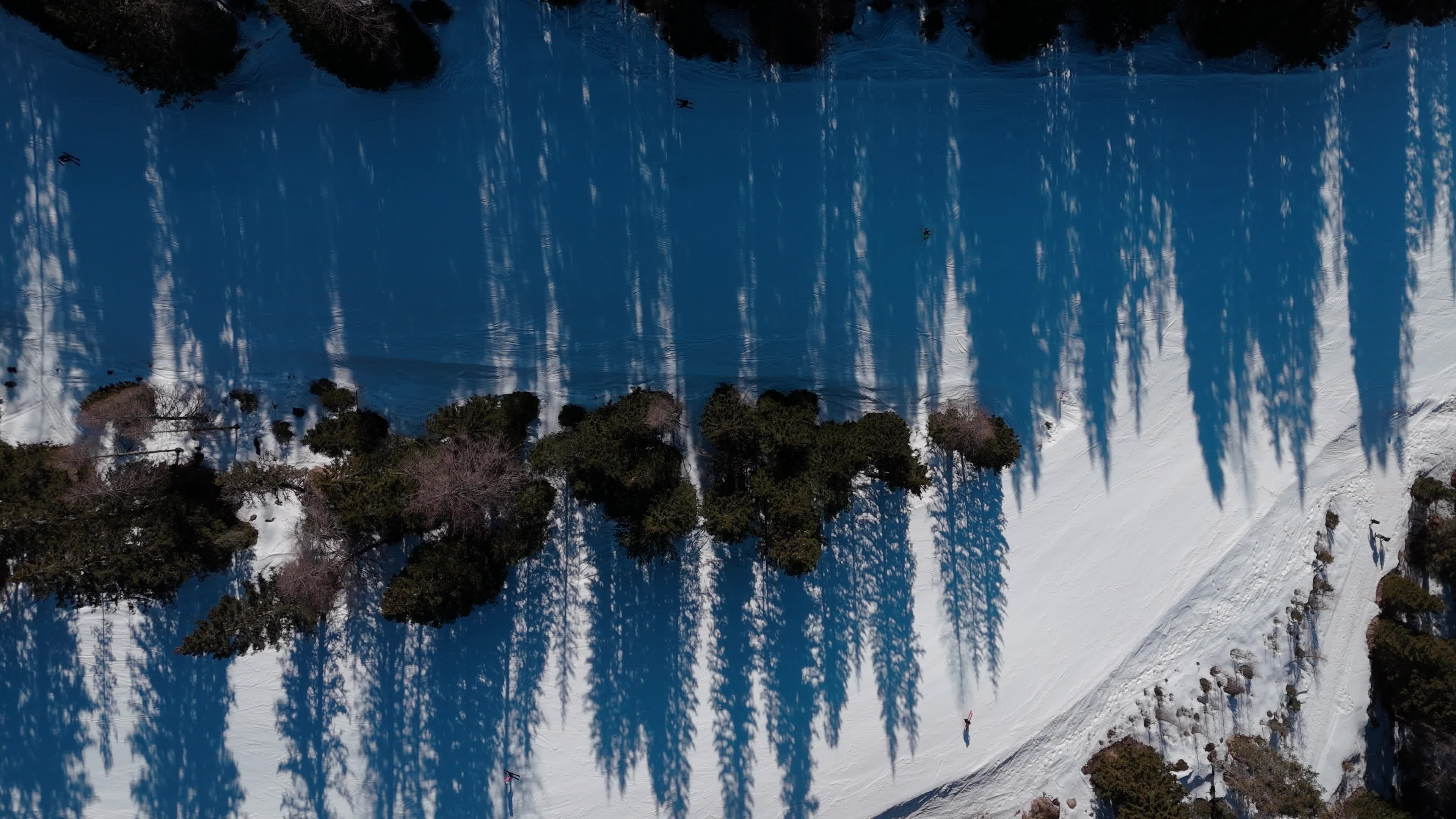Climate Change Impact: European Ski Slopes Increasingly Depend on Artificial Snow