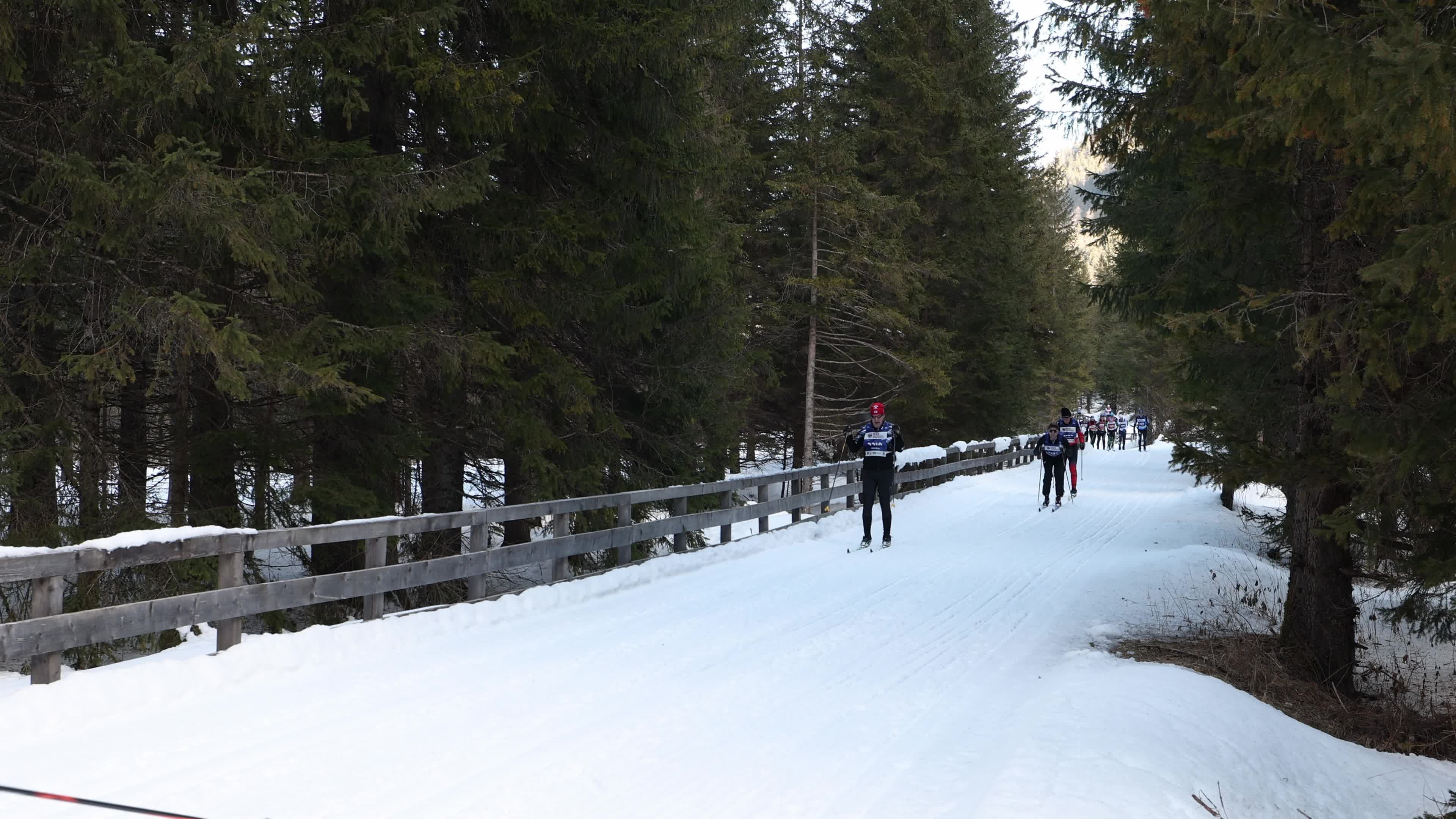47th Dobbiaco-Cortina Cross Country Race