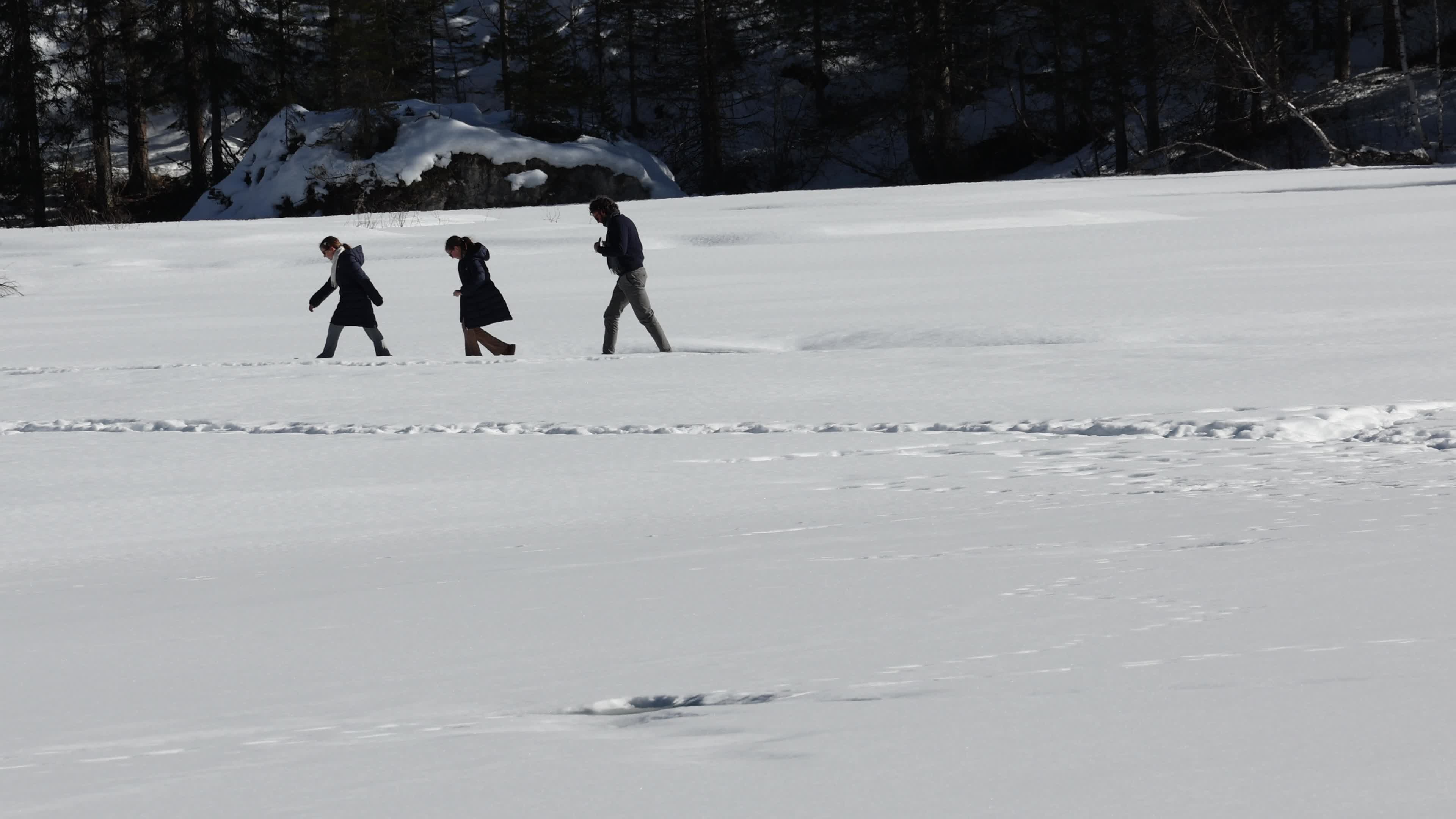 People Skiing In Monte Baranci, San Candido