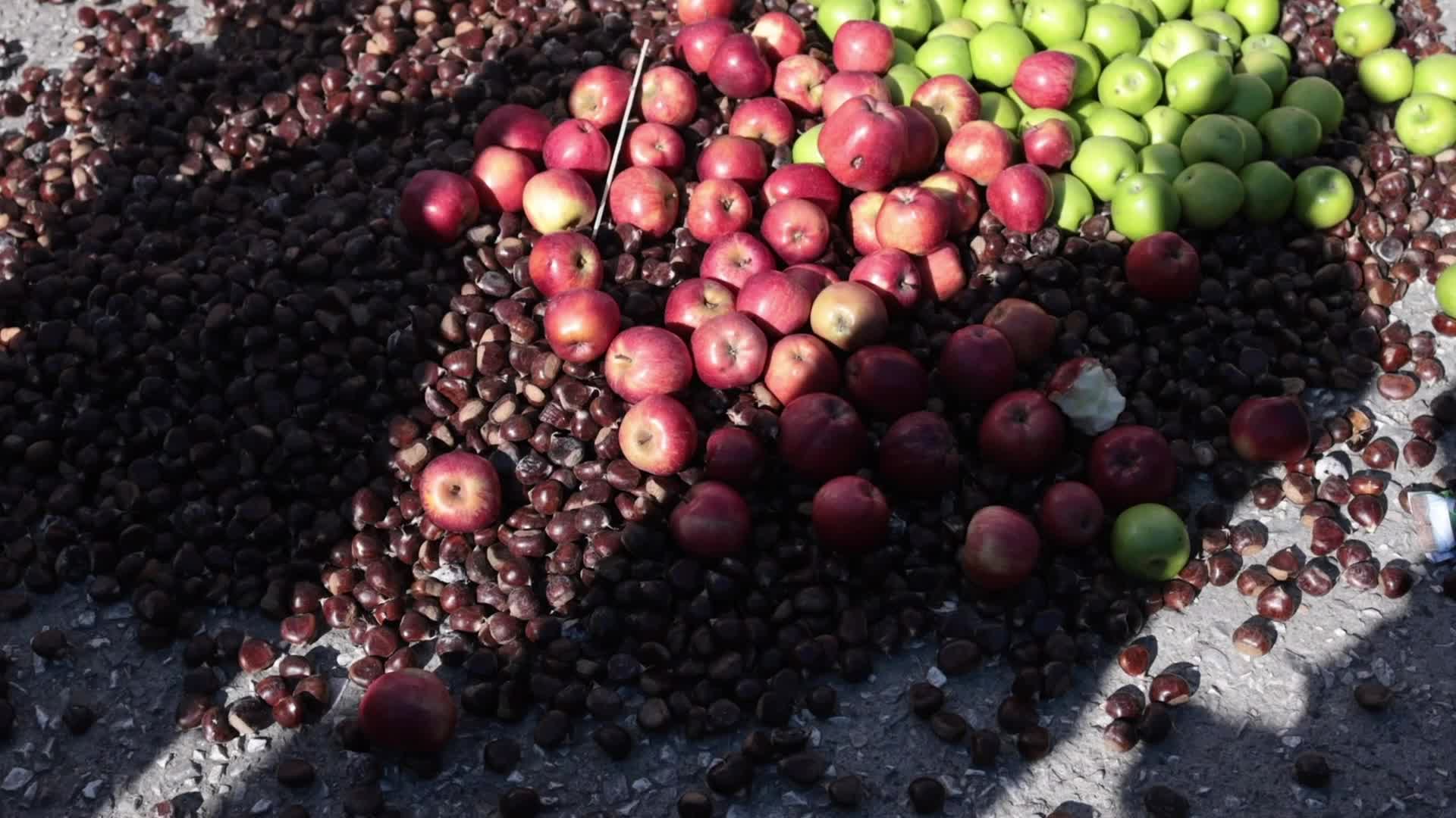 Protesting farmers rally in Thessaloniki