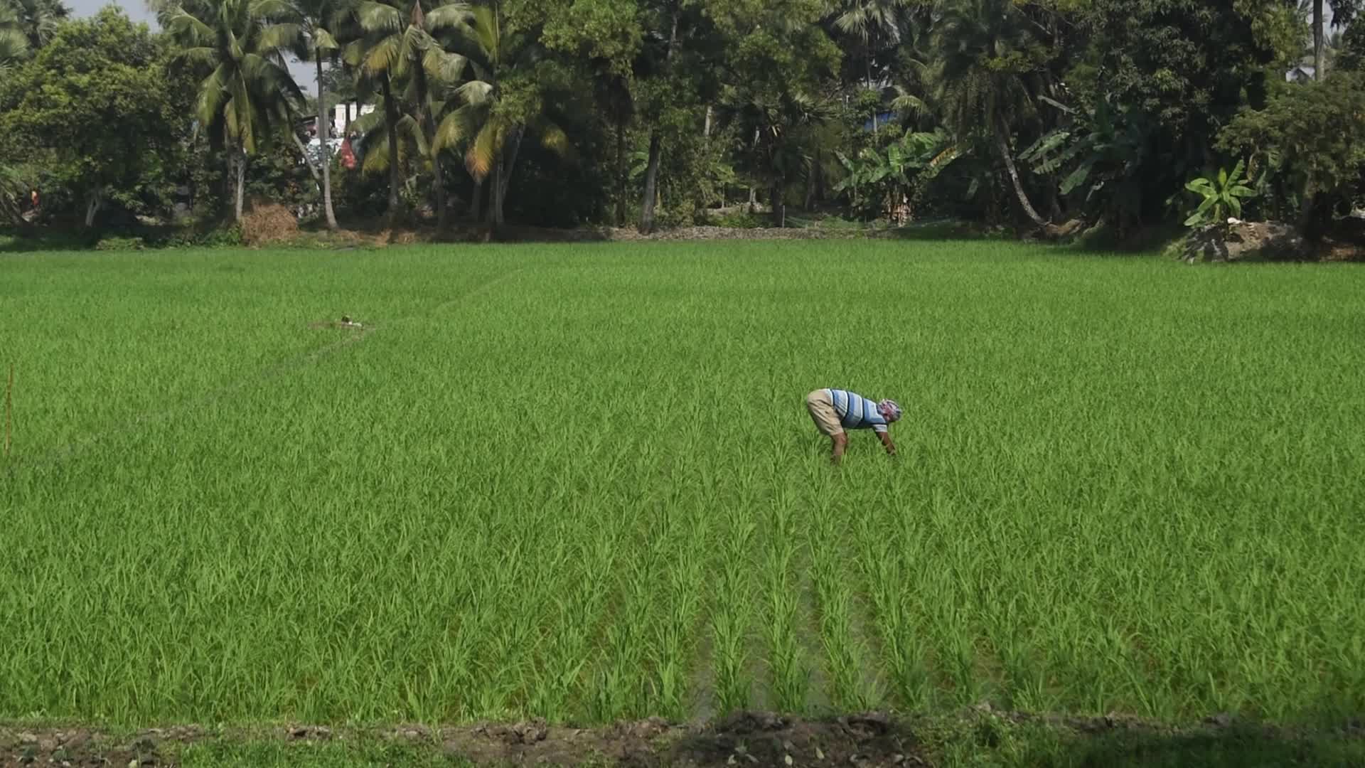 Daily life on the outskirts of Kolkata, India