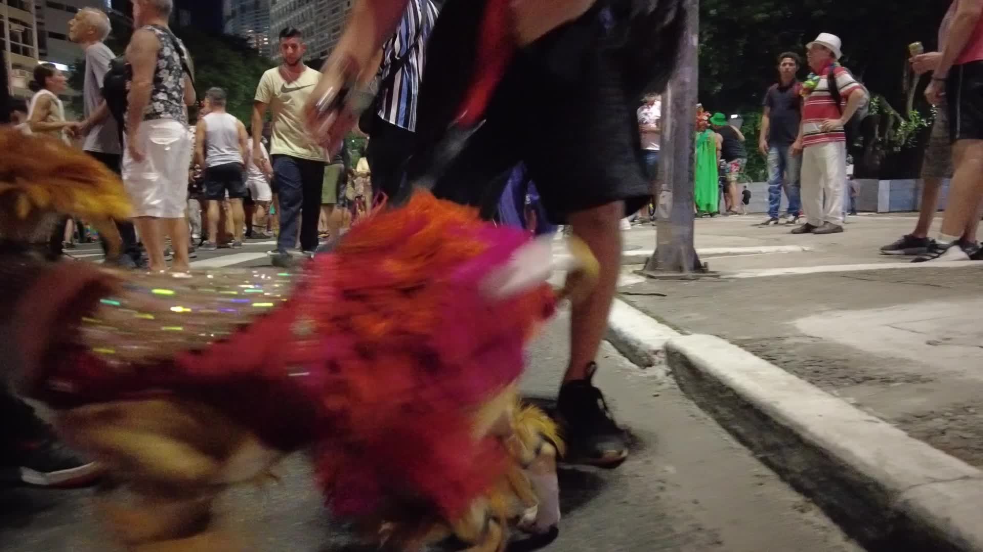 Brazil Carnival 2024 - February 5, 2024