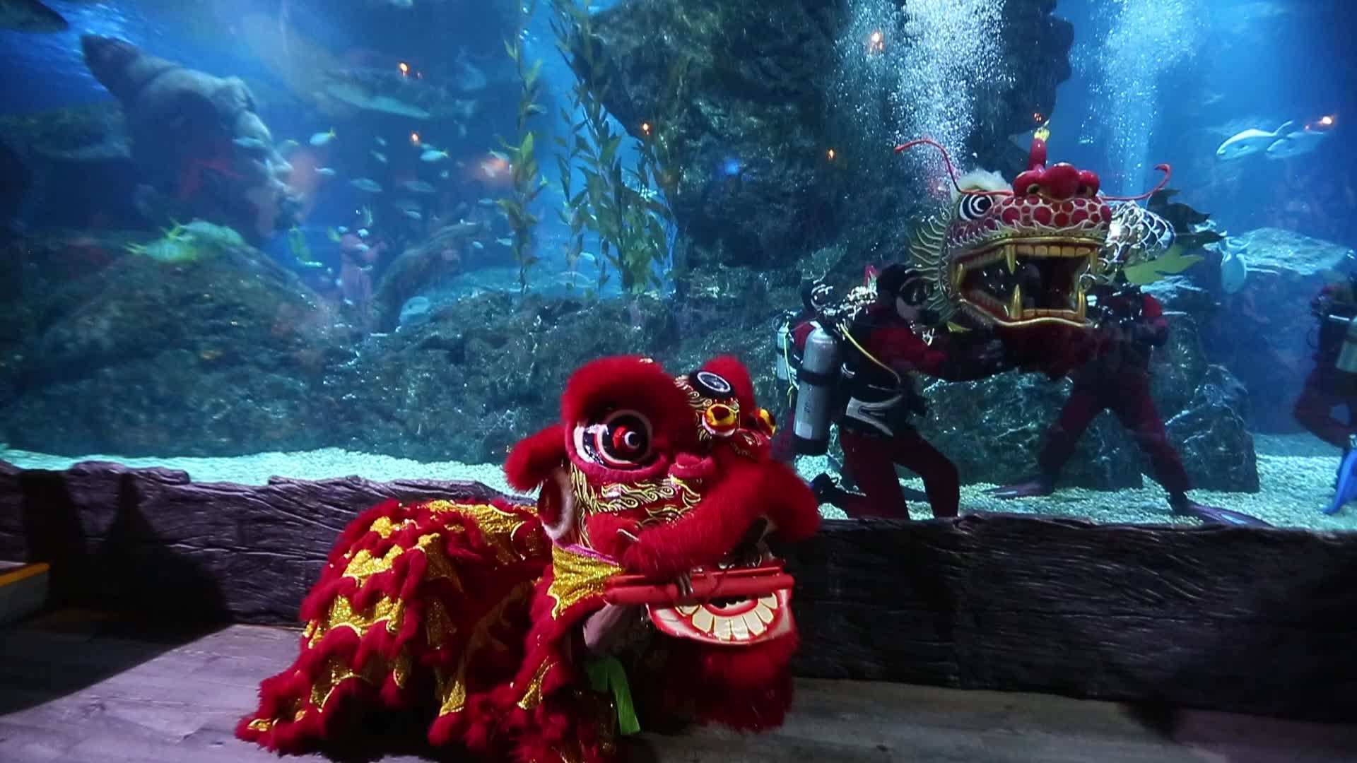 Lunar New Year In Bangkok, Thailand