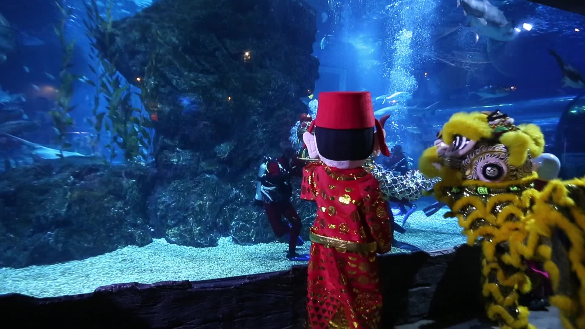 Lunar New Year In Bangkok, Thailand