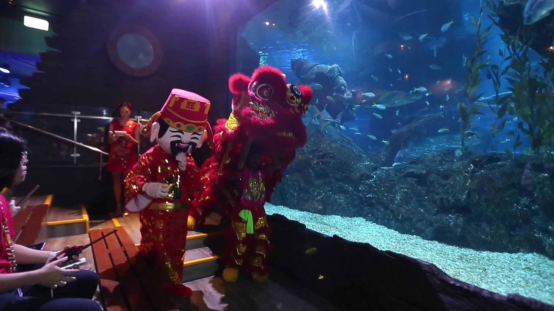 Lunar New Year In Bangkok, Thailand