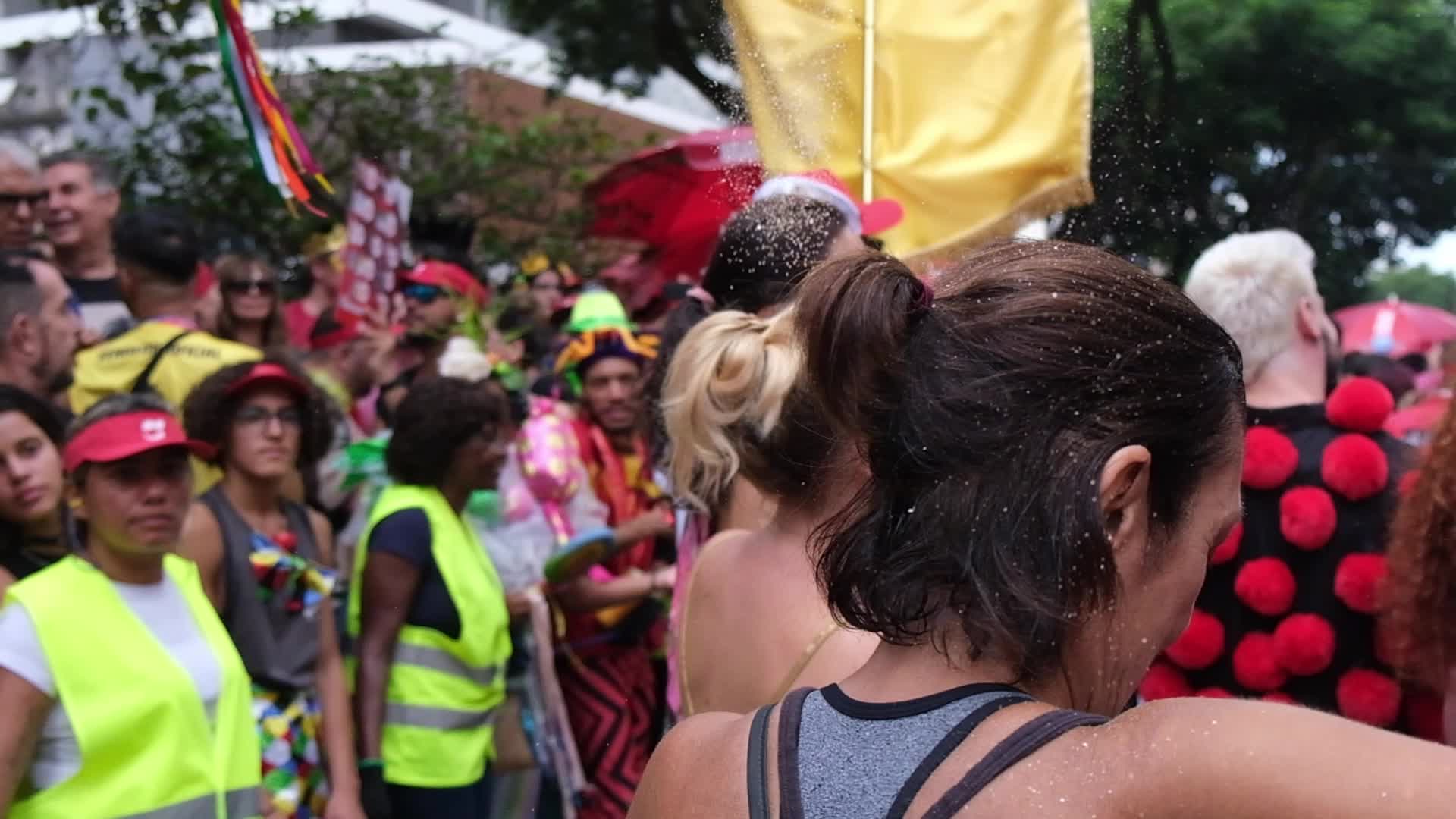 Brazil Carnival 2024