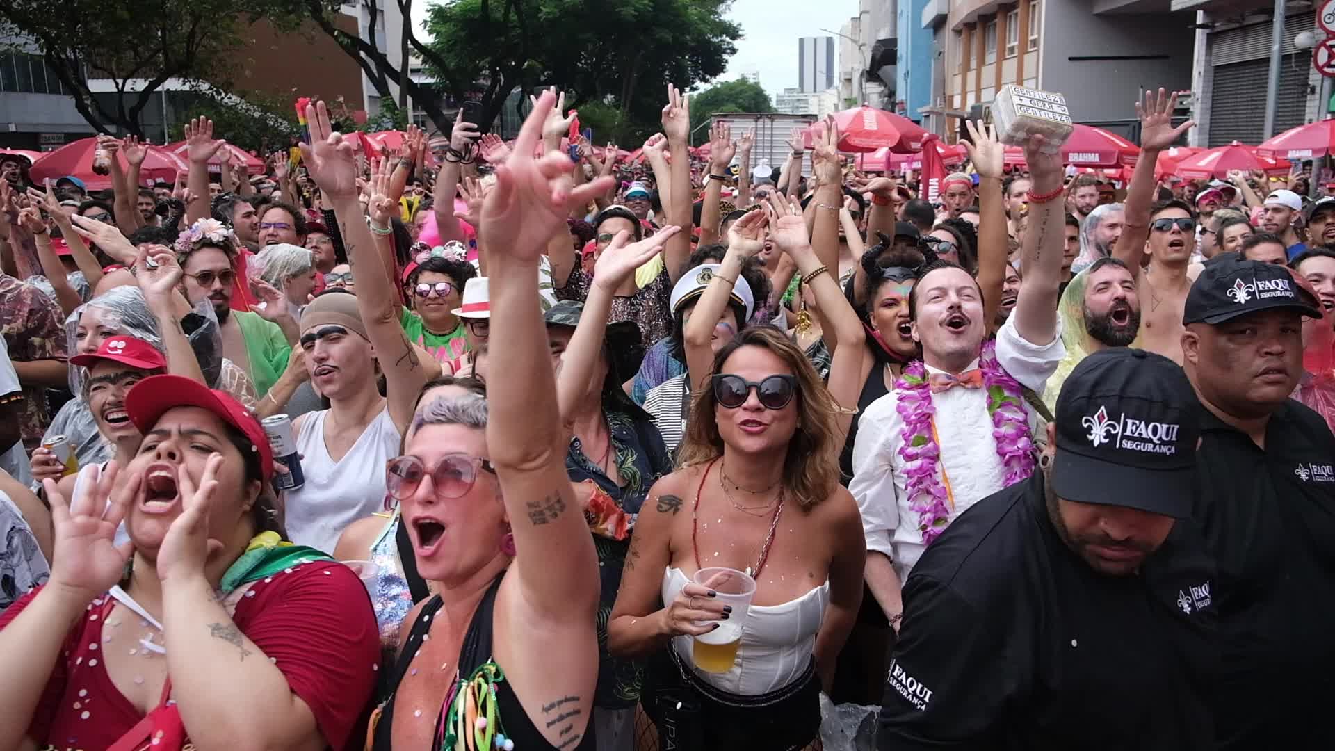 Brazil Carnival 2024