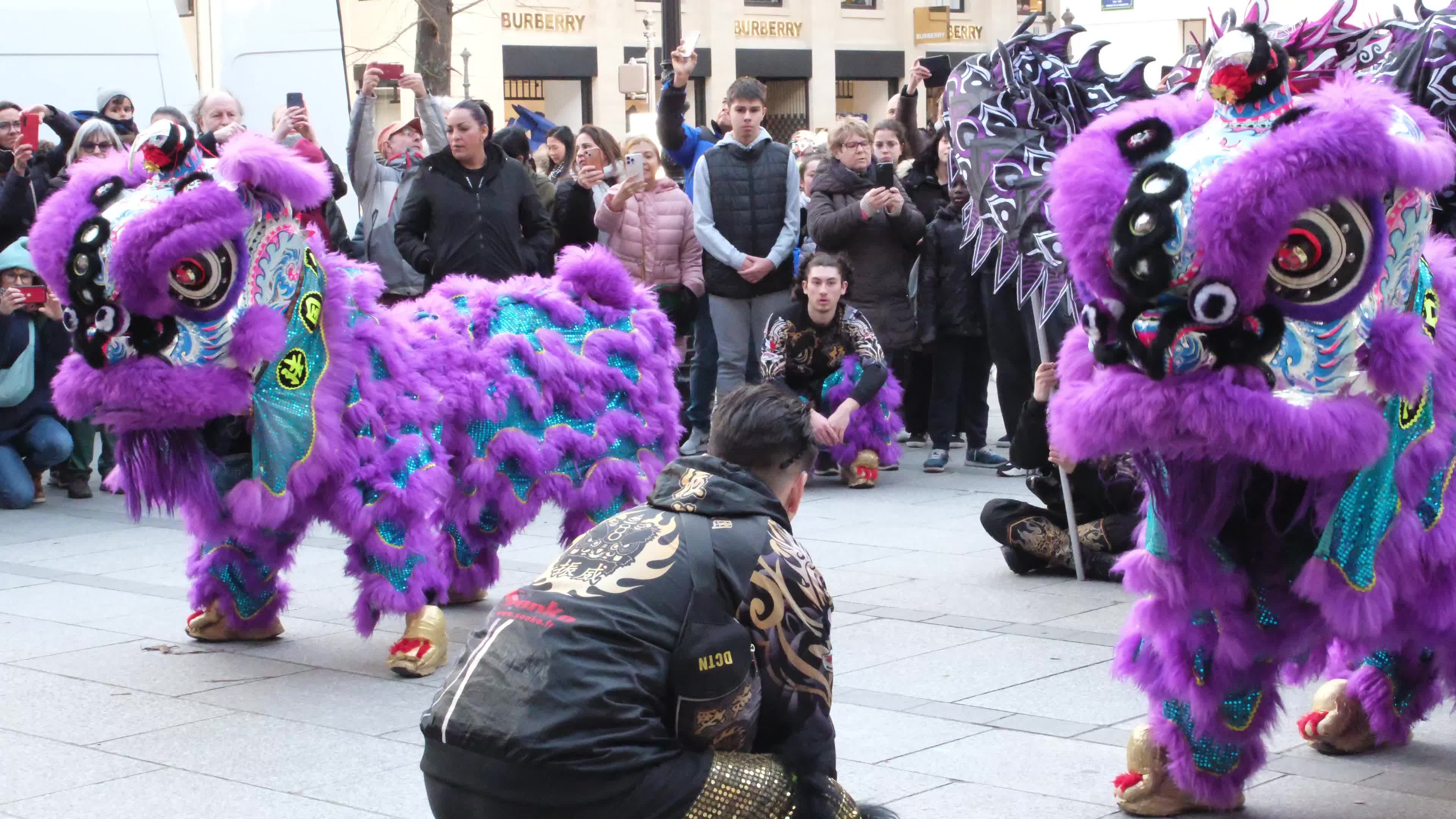 Lunar New Year celebrations begin in Paris