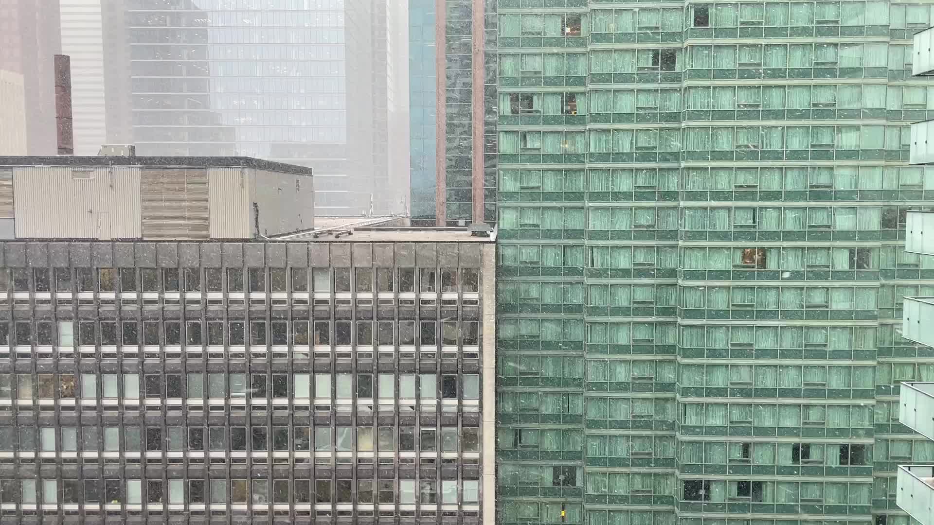 Snowfall in Toronto, Canada