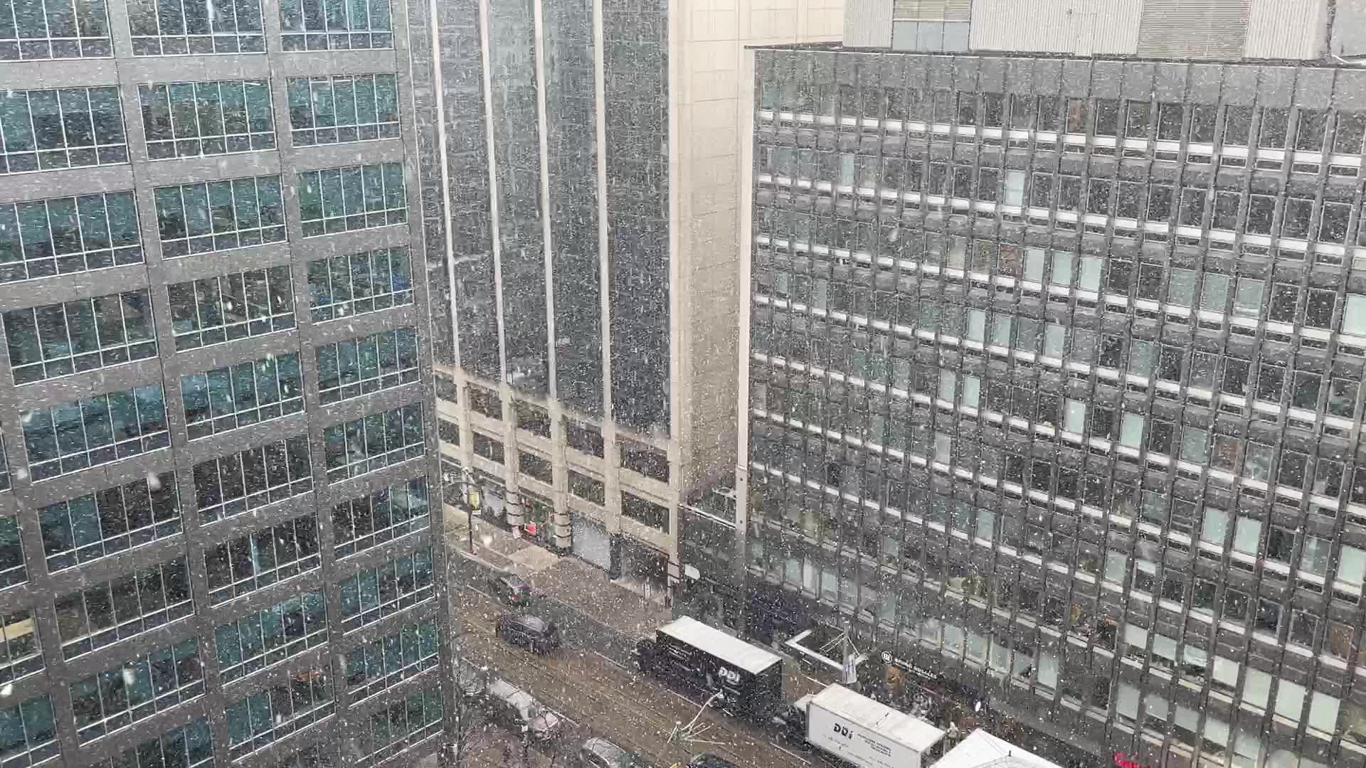 Snowfall in Toronto, Canada